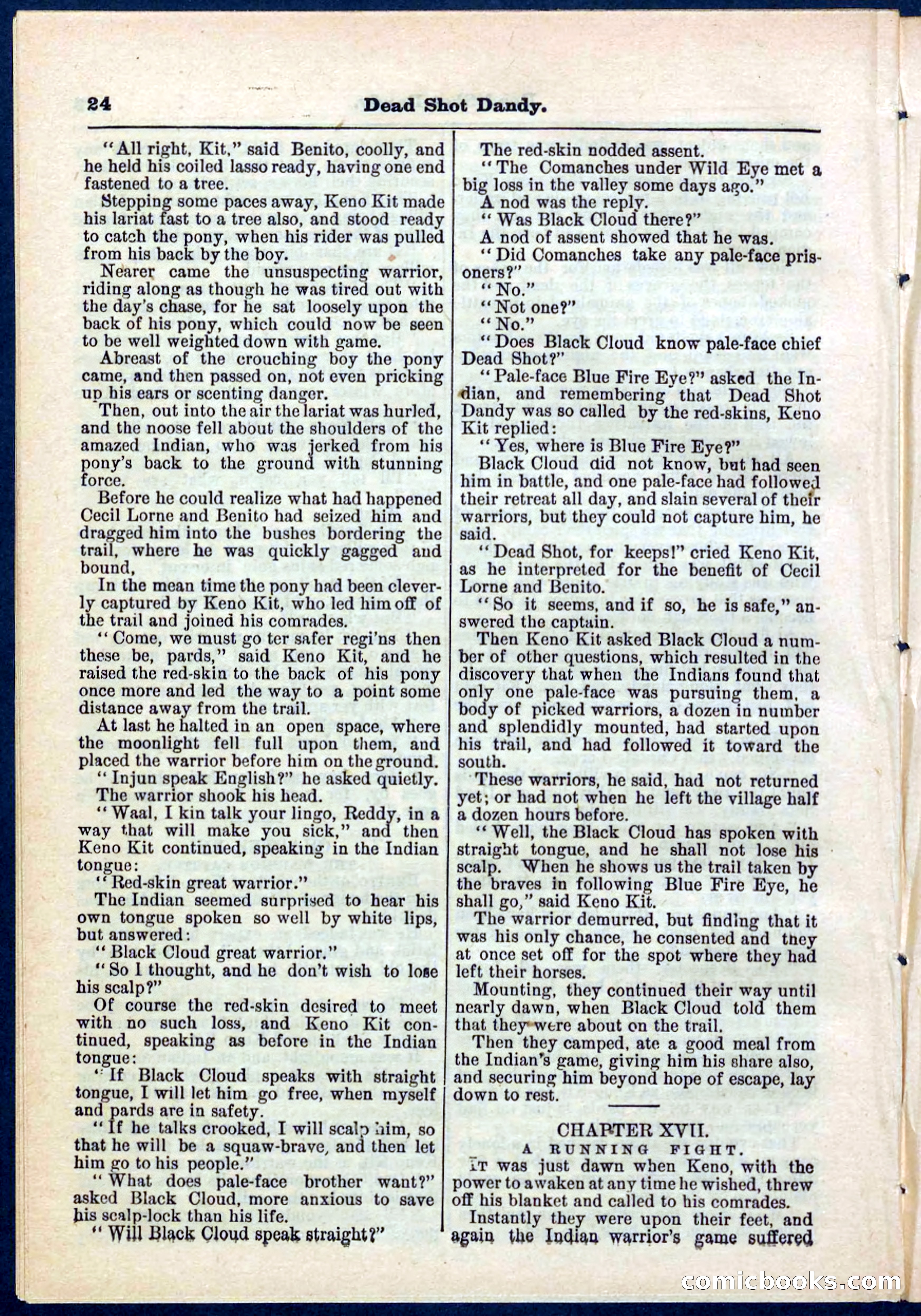 Beadle's Pocket Library No. 268 — page 24 of 32