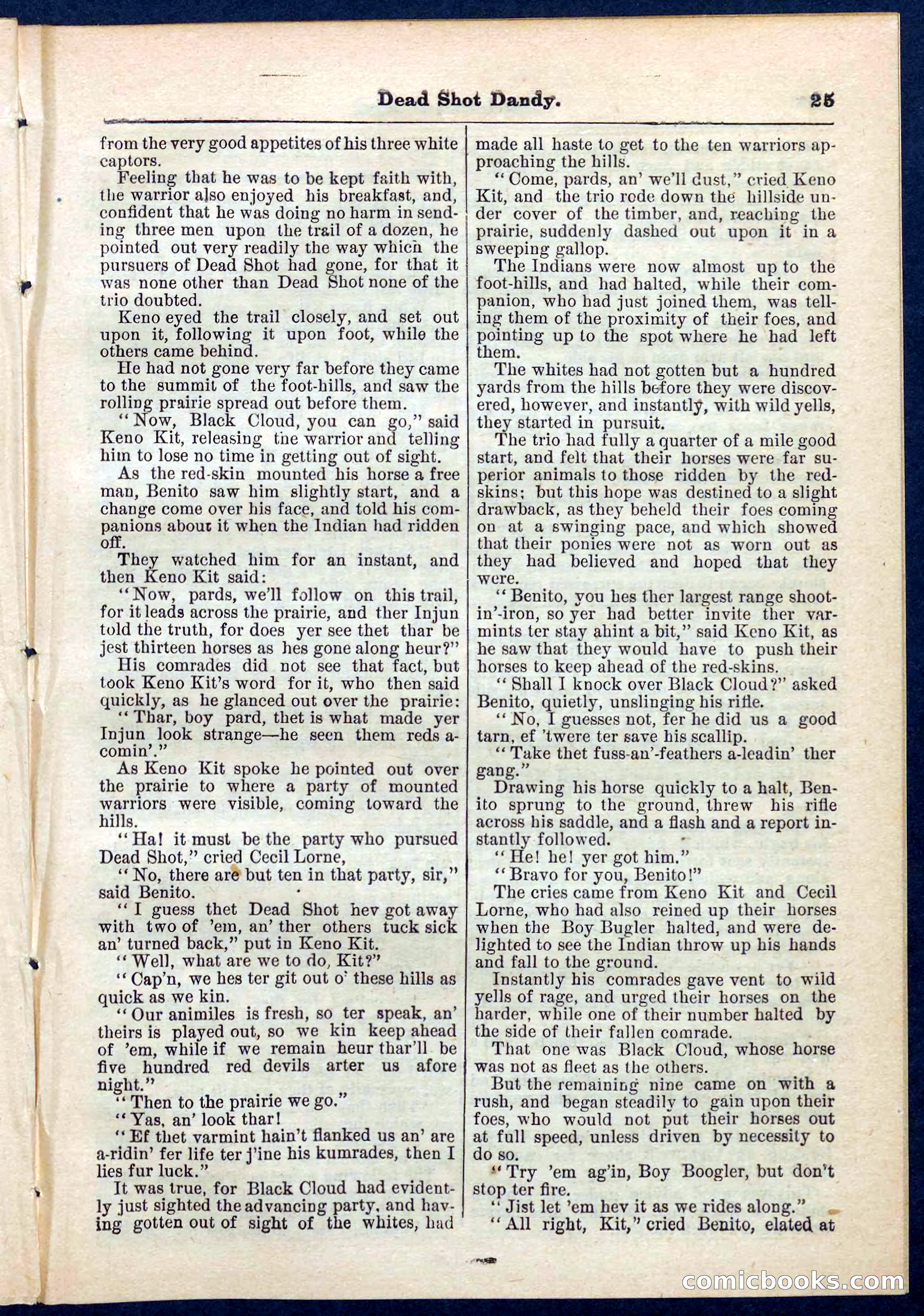 Beadle's Pocket Library No. 268 — page 25 of 32