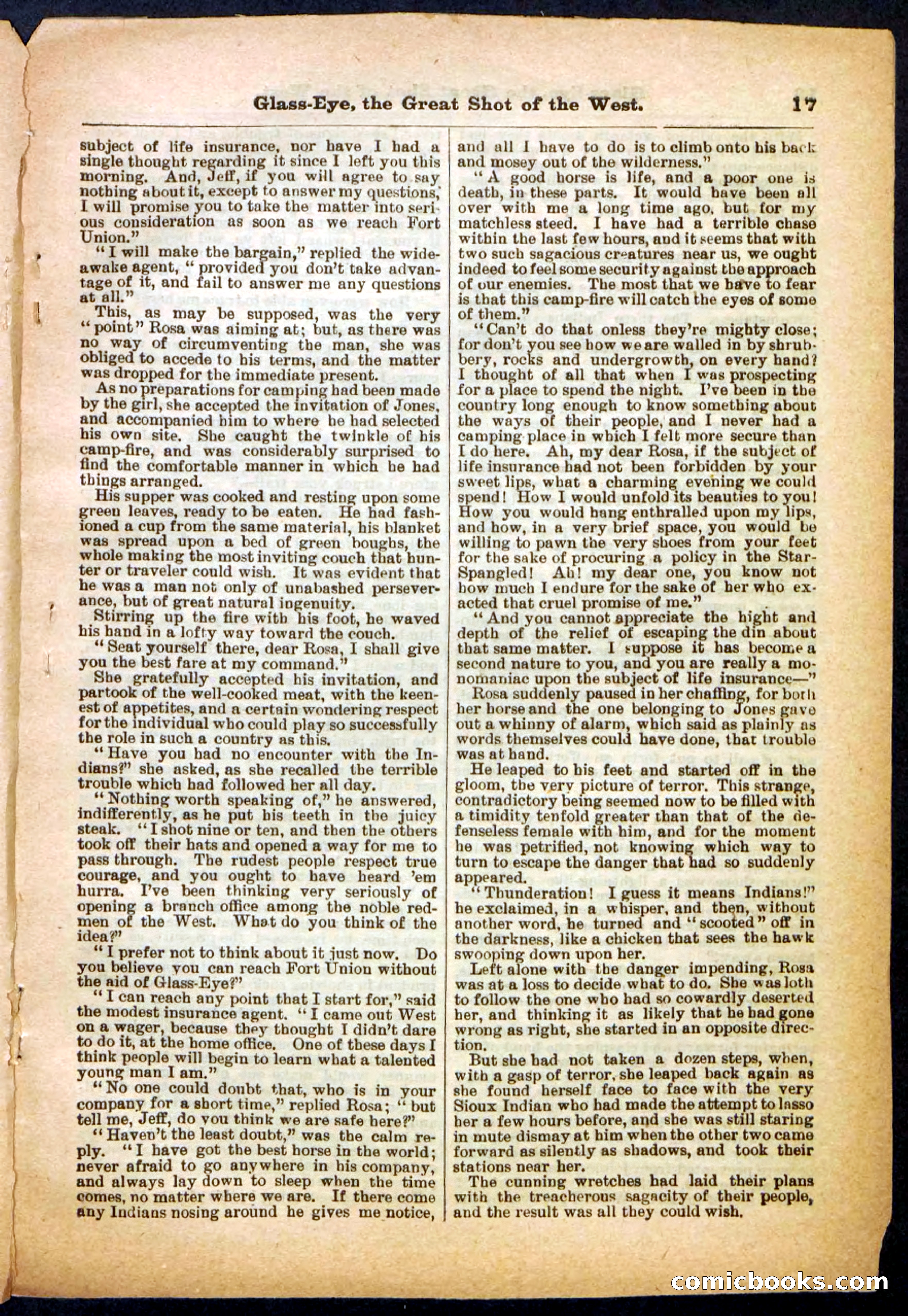 Beadle's Pocket Library No. 27 — page 17 of 32