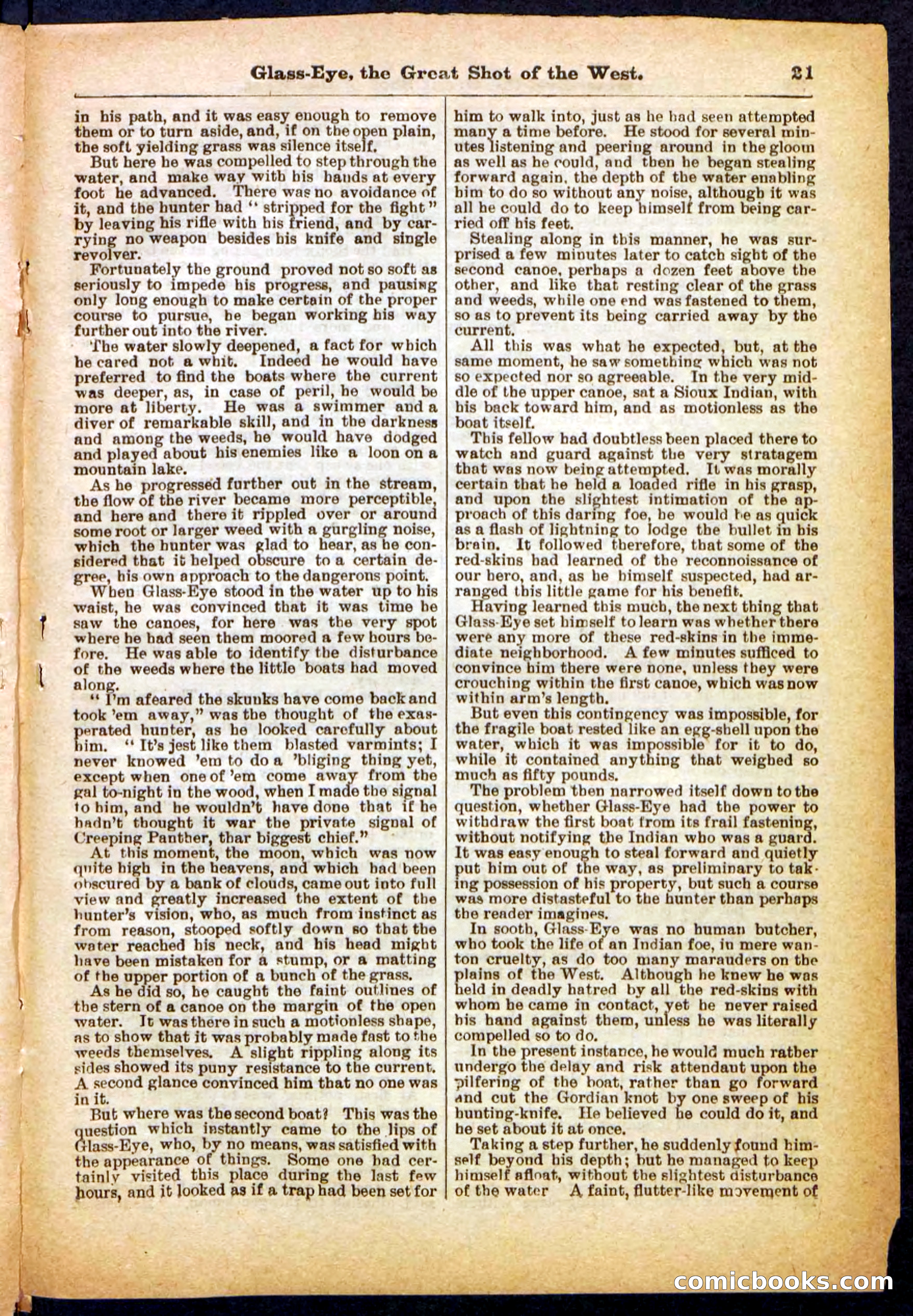 Beadle's Pocket Library No. 27 — page 21 of 32