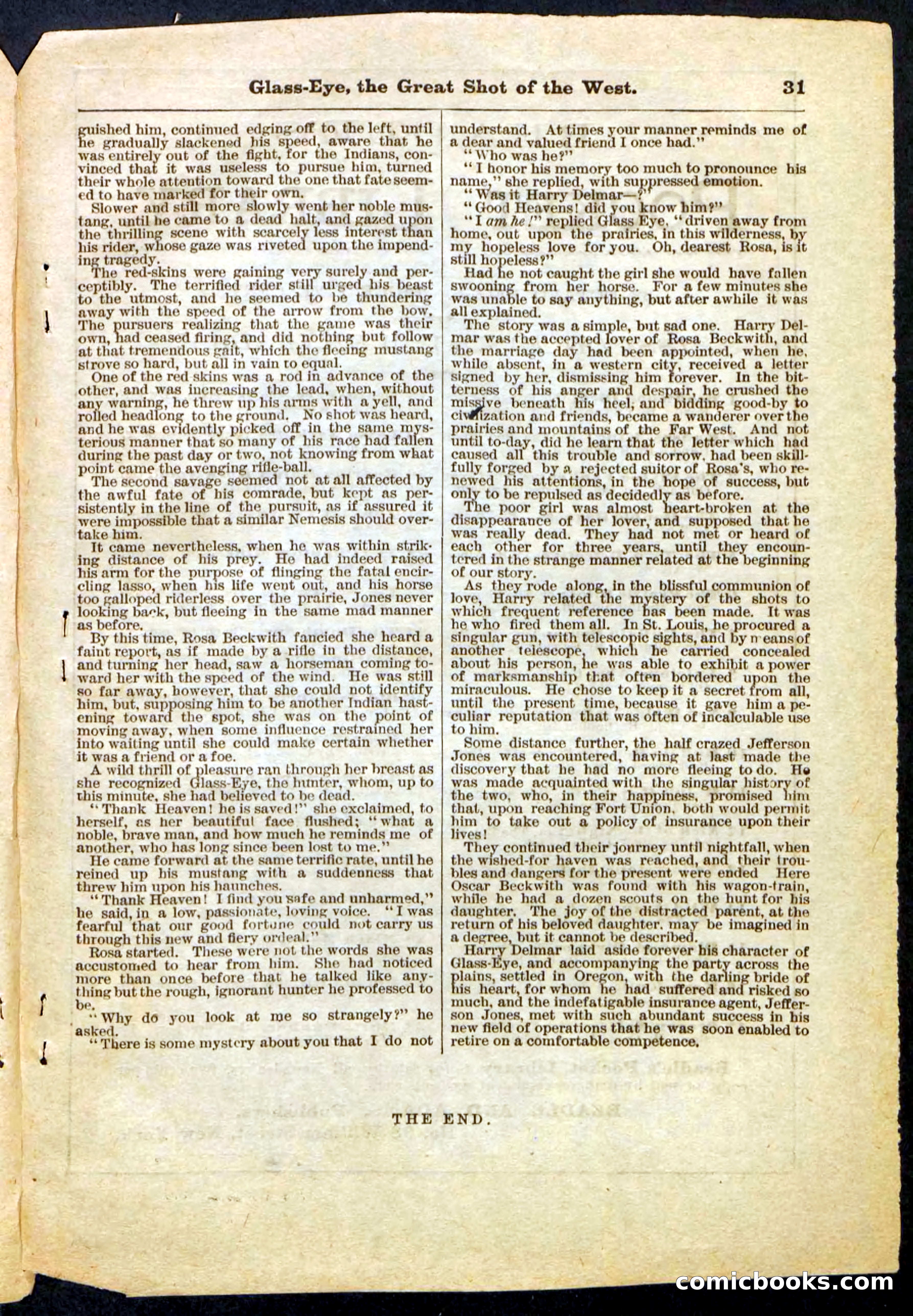 Beadle's Pocket Library No. 27 — page 31 of 32