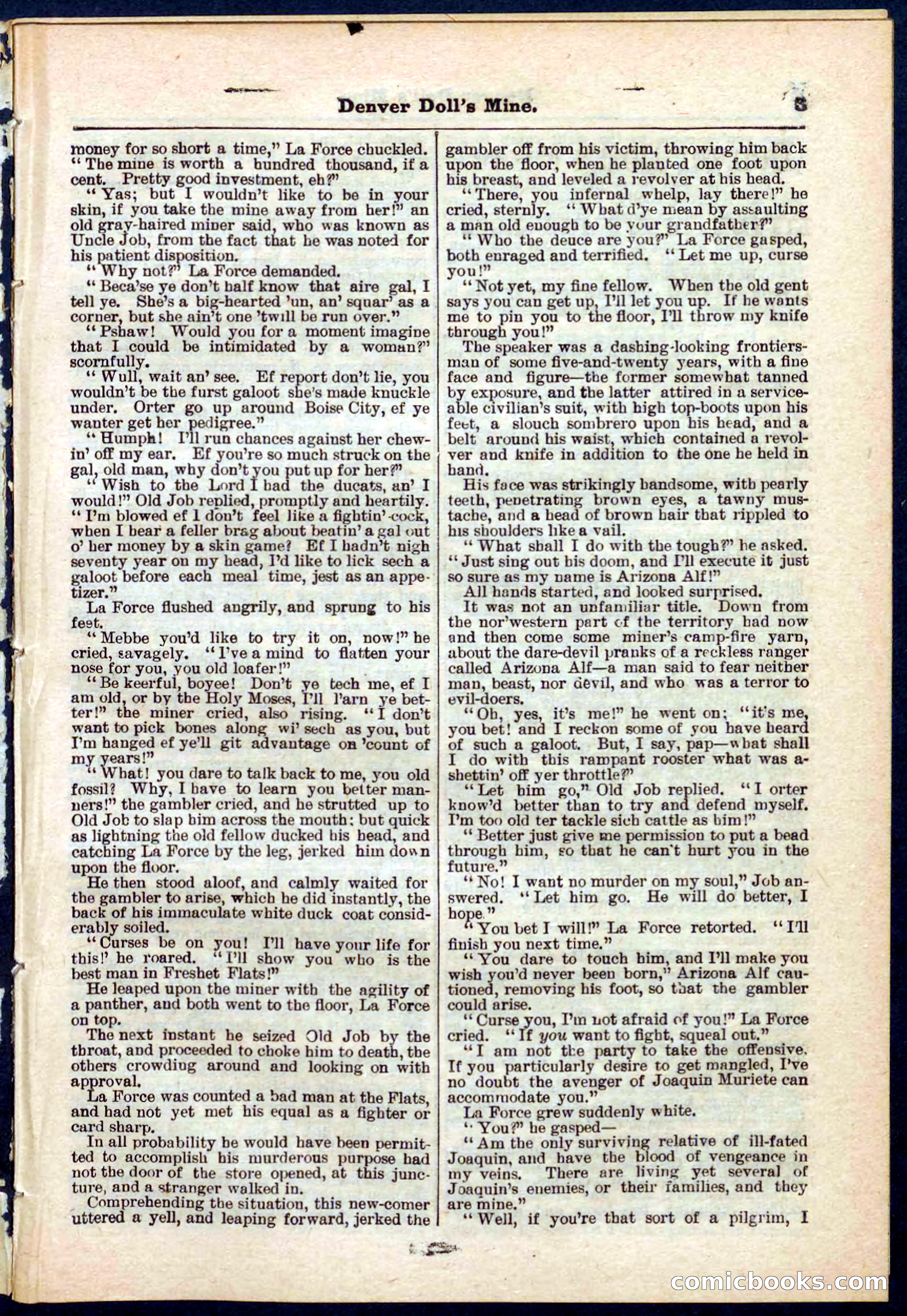 Beadle's Pocket Library No. 270 — page 3 of 32