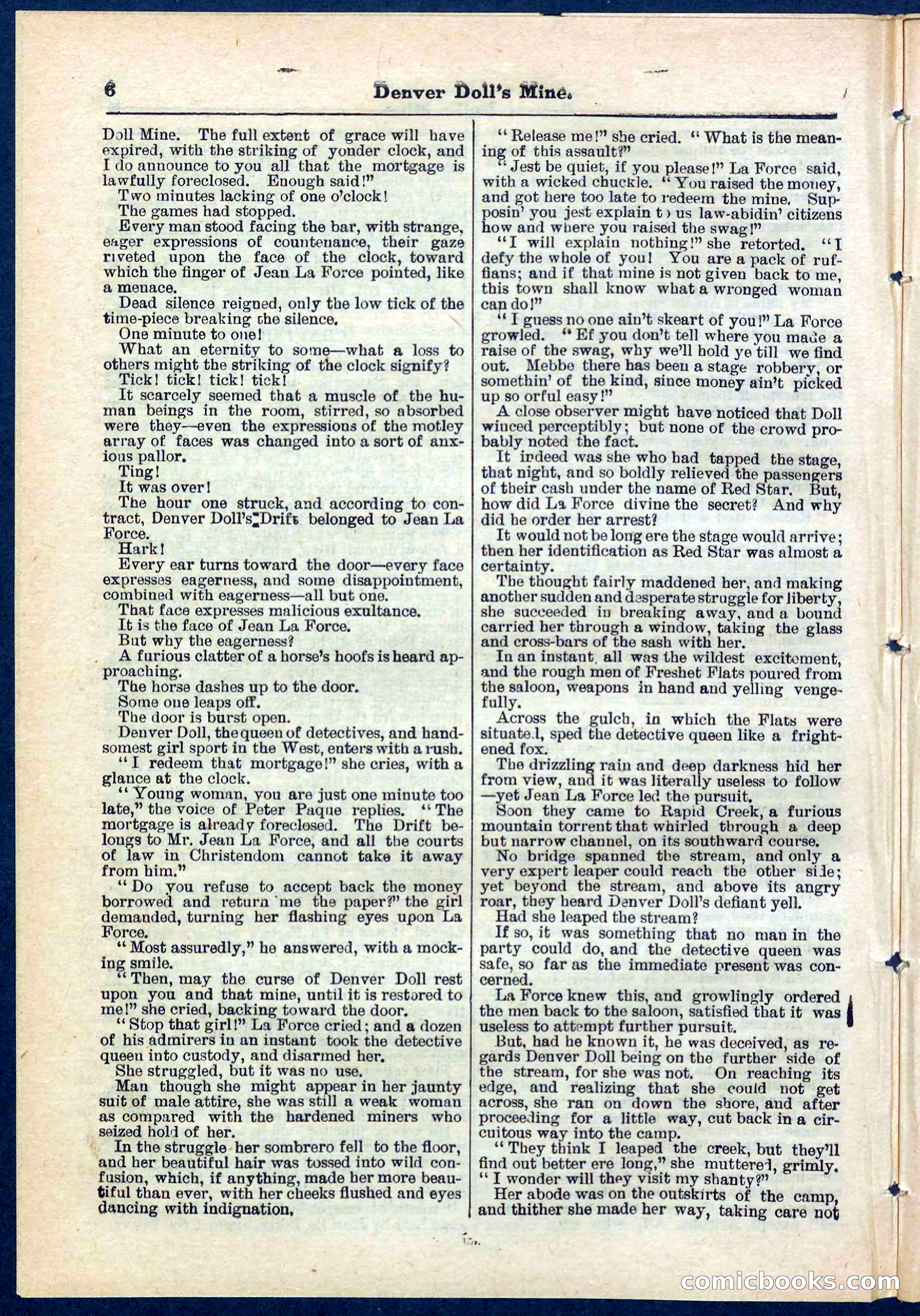 Beadle's Pocket Library No. 270 — page 6 of 32