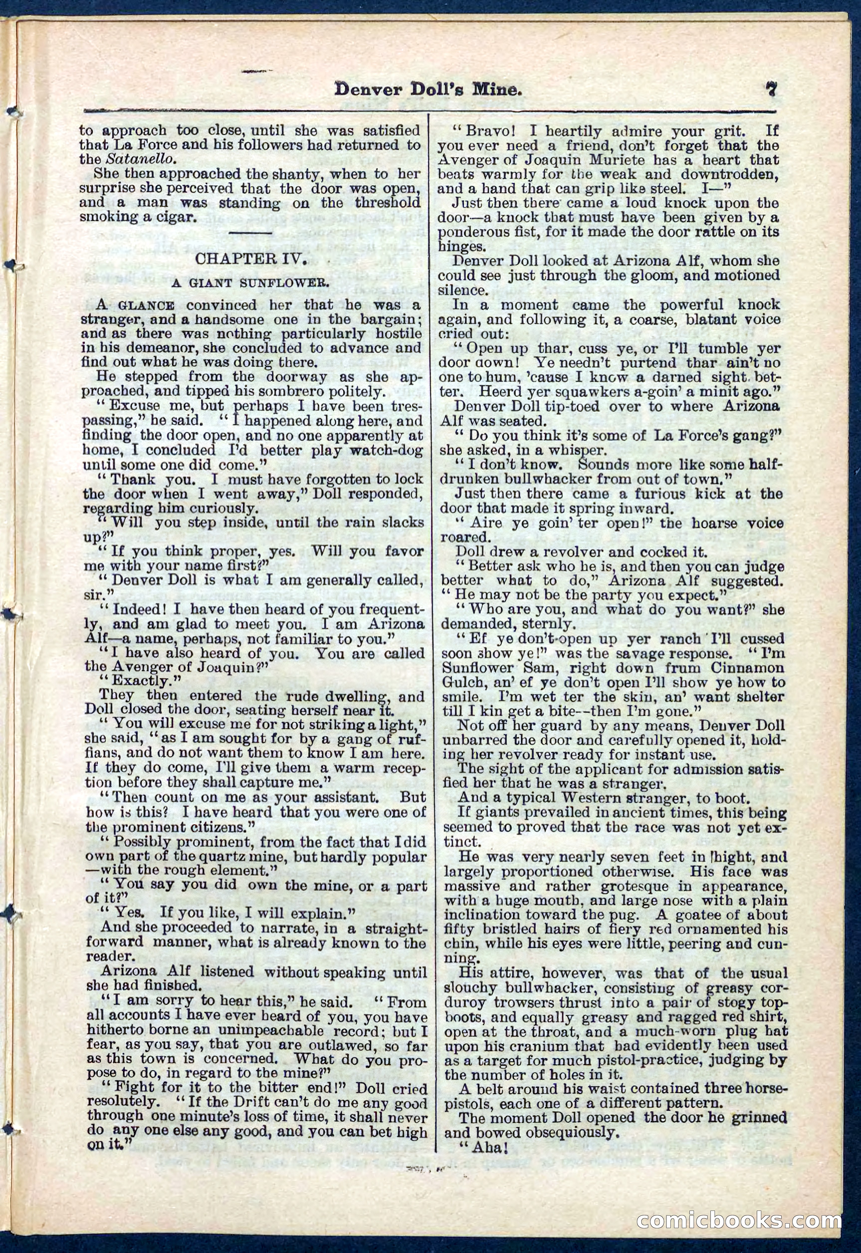 Beadle's Pocket Library No. 270 — page 7 of 32