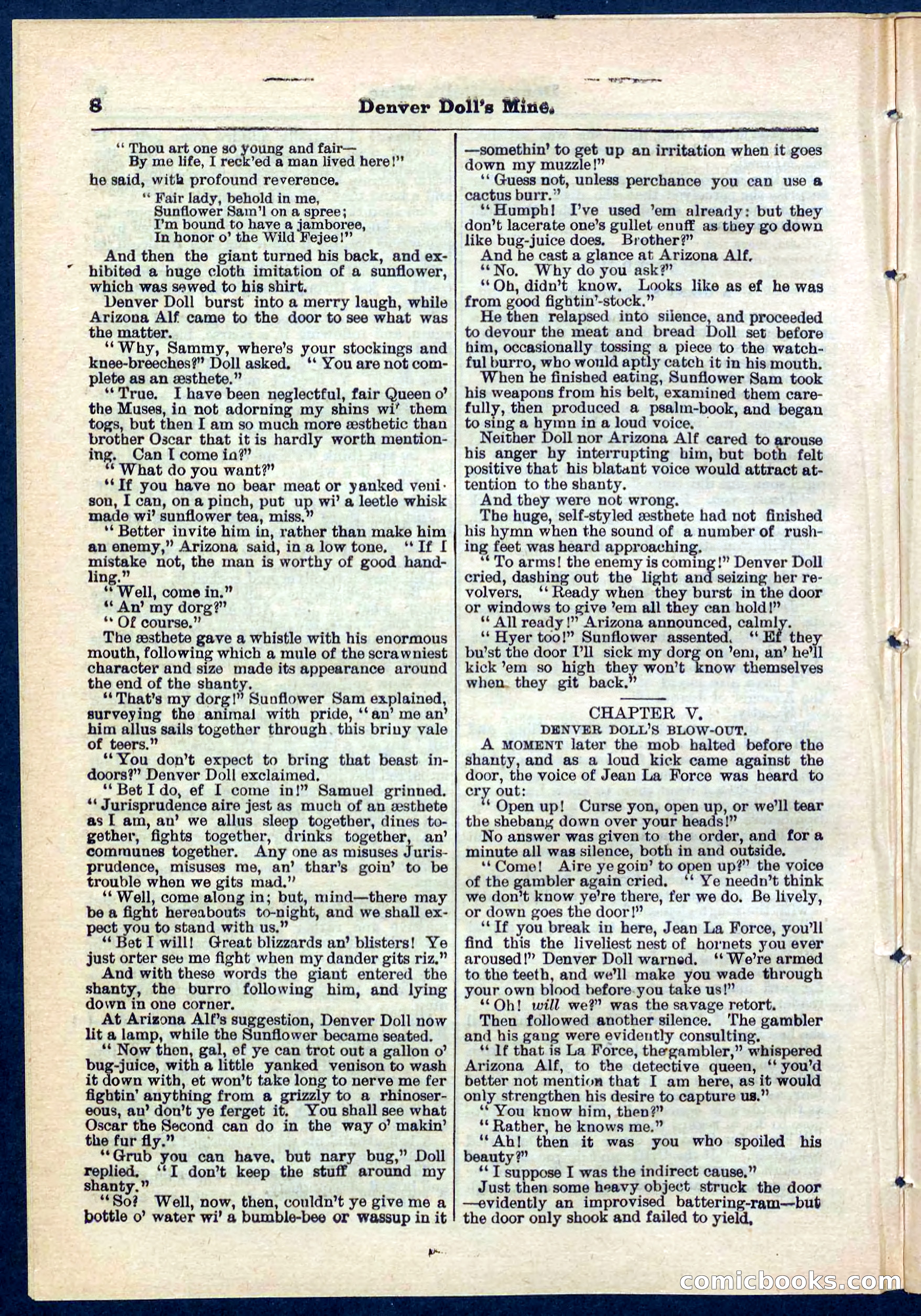 Beadle's Pocket Library No. 270 — page 8 of 32