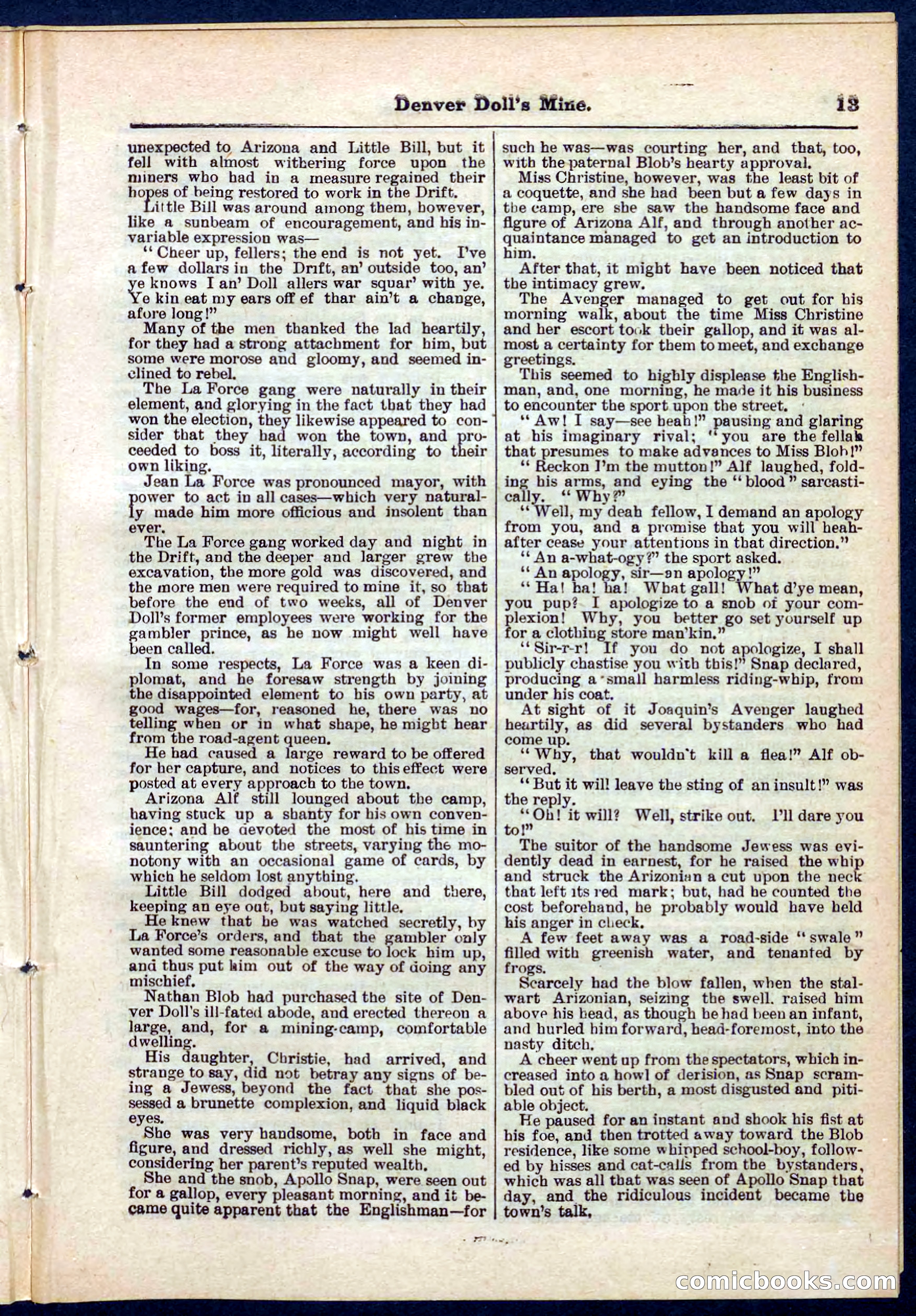 Beadle's Pocket Library No. 270 — page 13 of 32