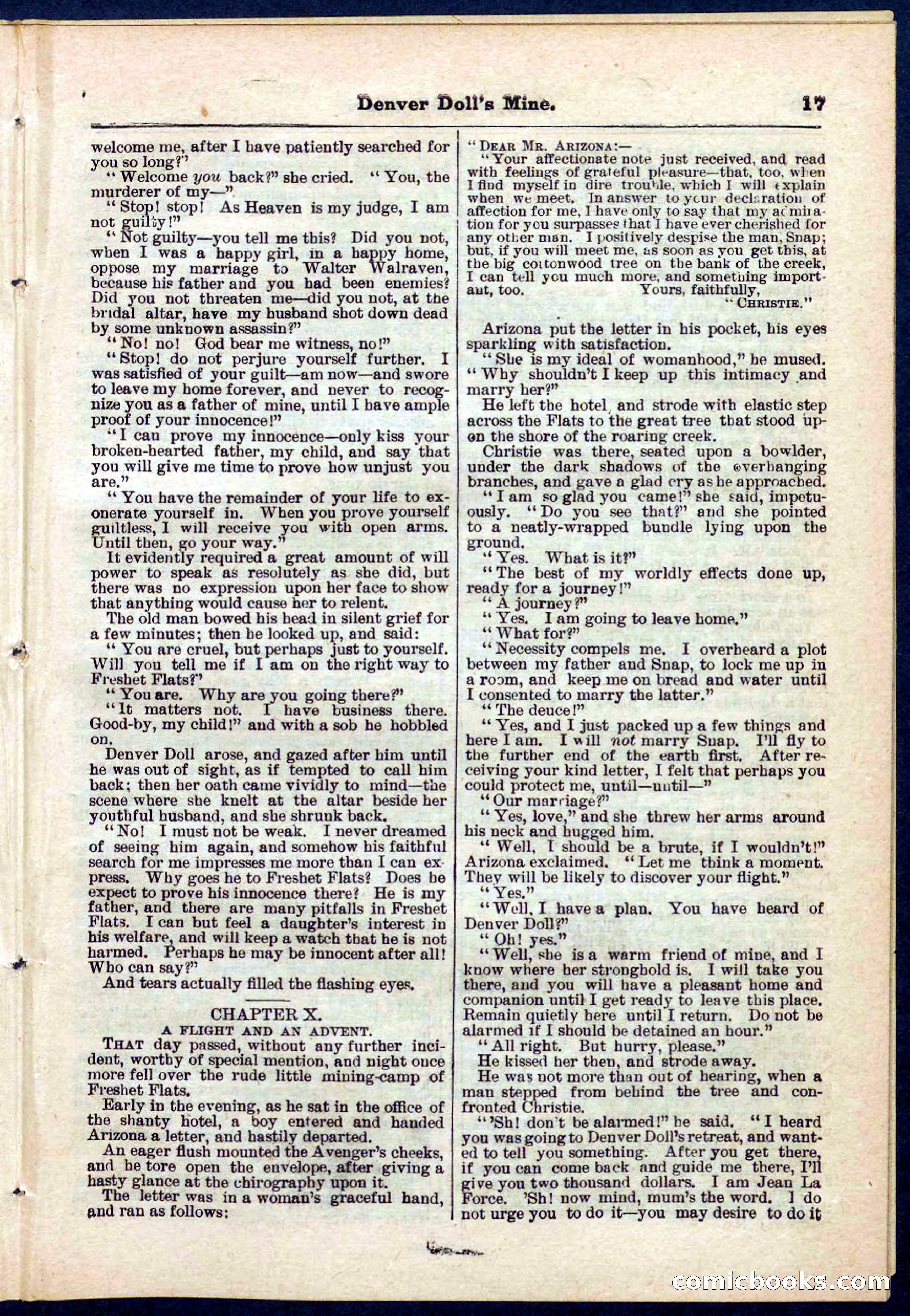 Beadle's Pocket Library No. 270 — page 17 of 32