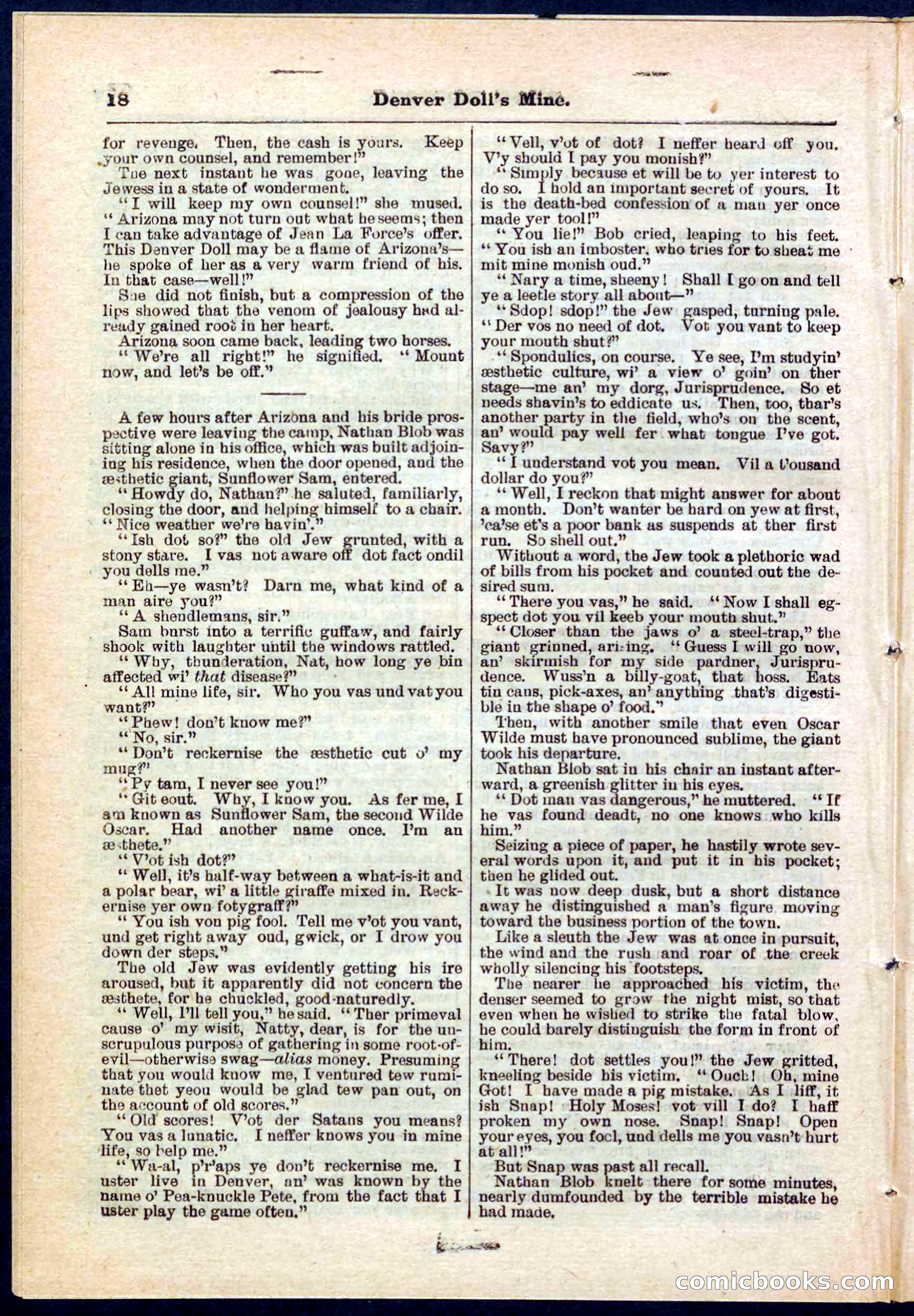Beadle's Pocket Library No. 270 — page 18 of 32