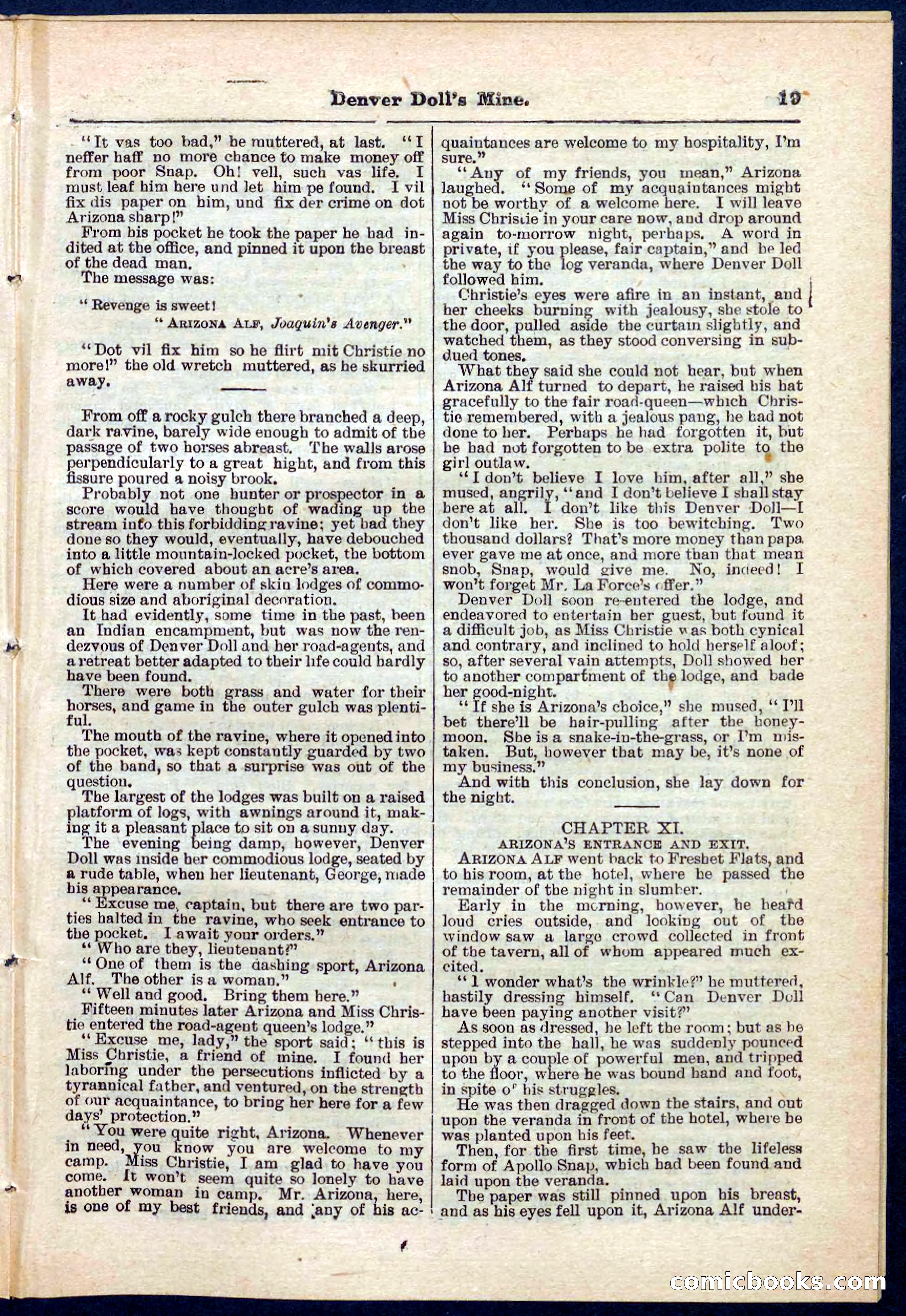 Beadle's Pocket Library No. 270 — page 19 of 32