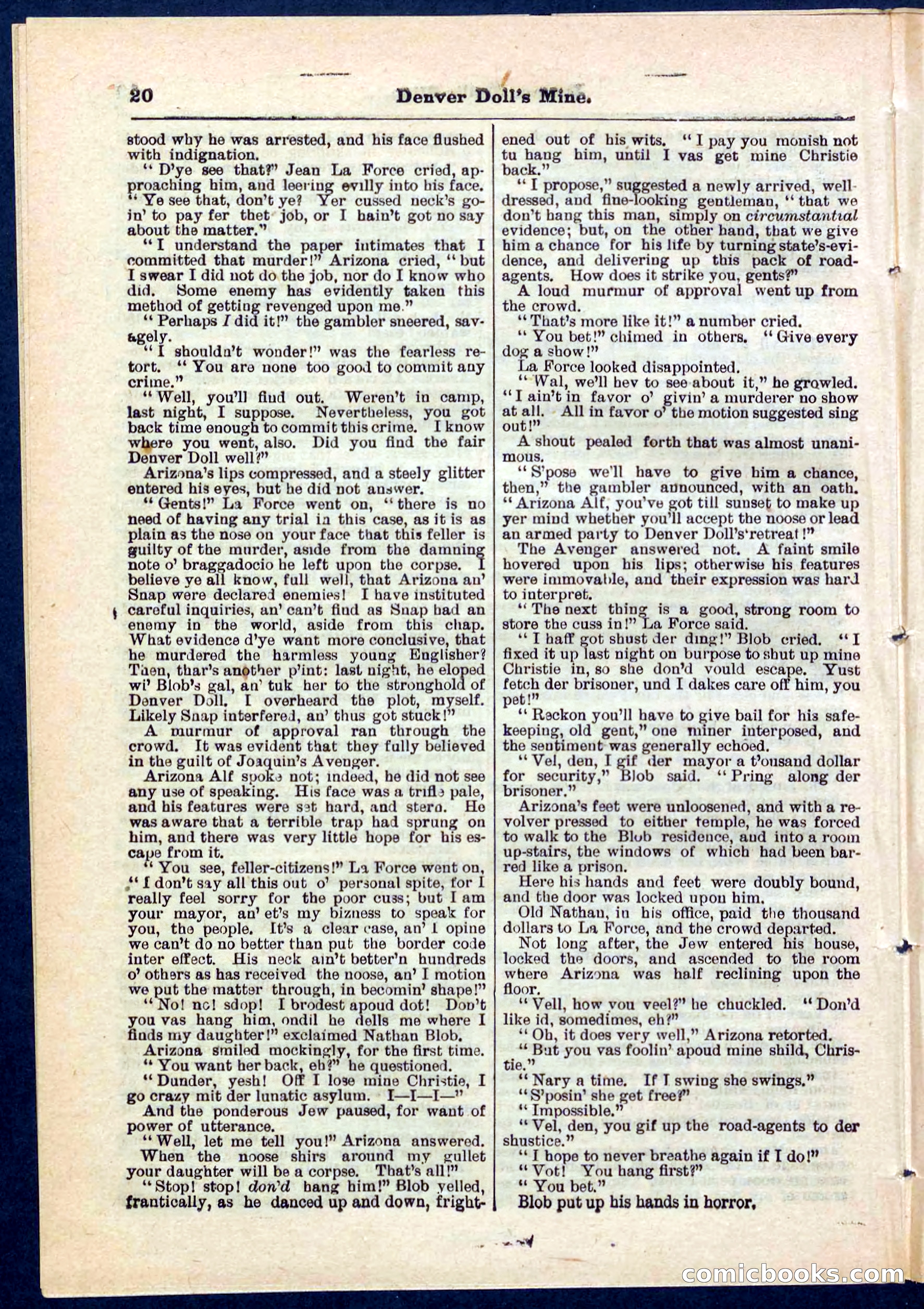 Beadle's Pocket Library No. 270 — page 20 of 32