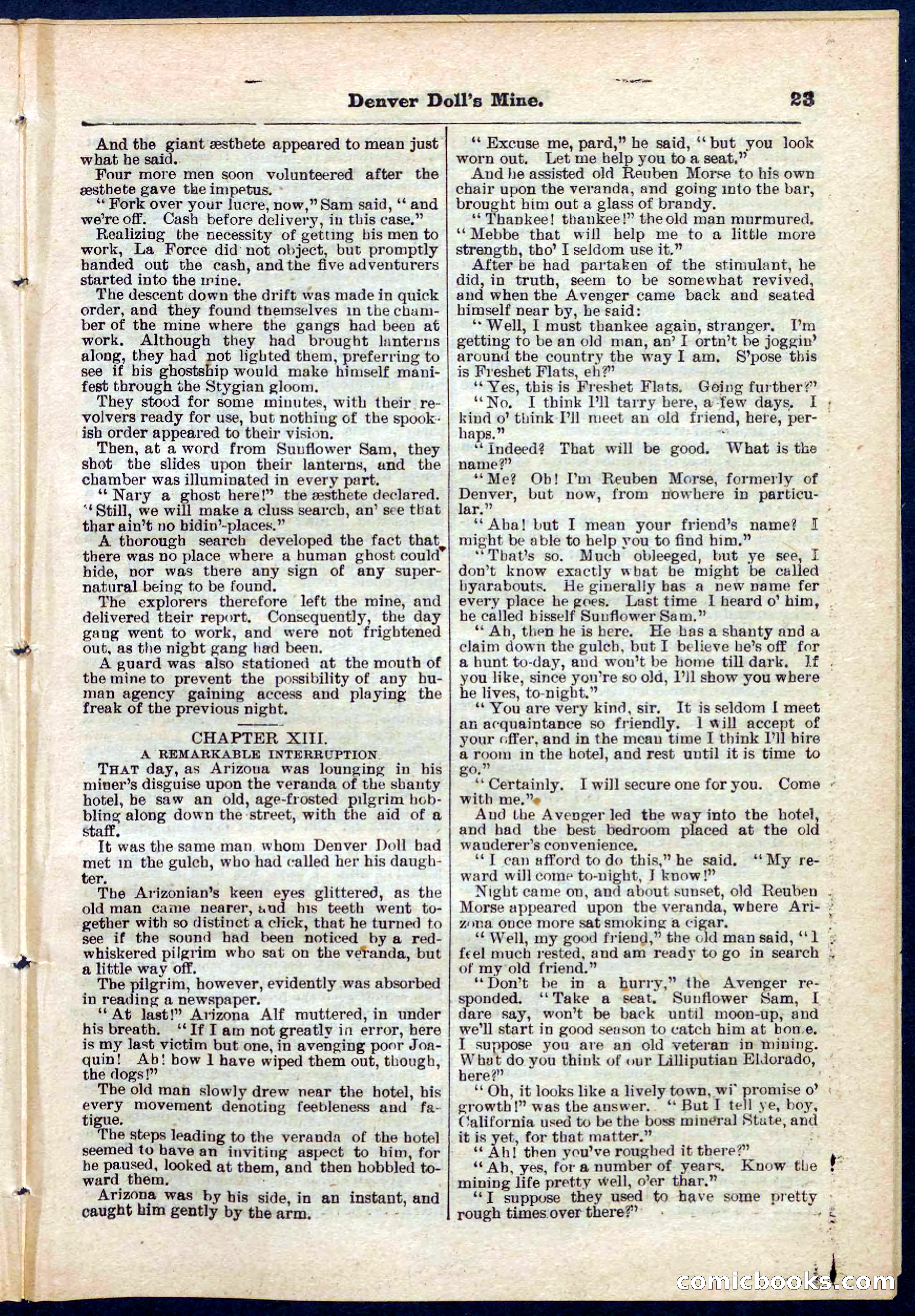 Beadle's Pocket Library No. 270 — page 23 of 32