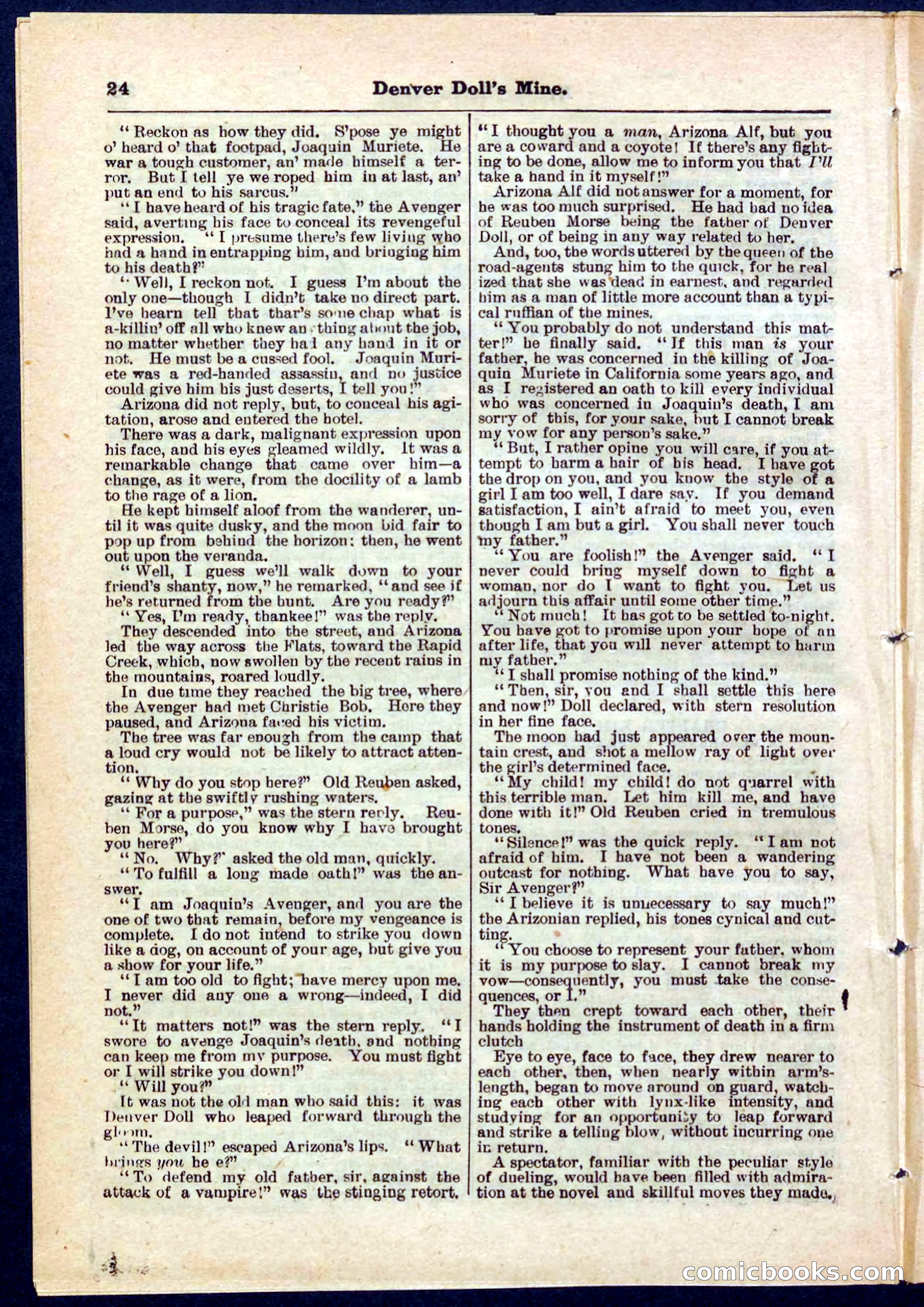 Beadle's Pocket Library No. 270 — page 24 of 32