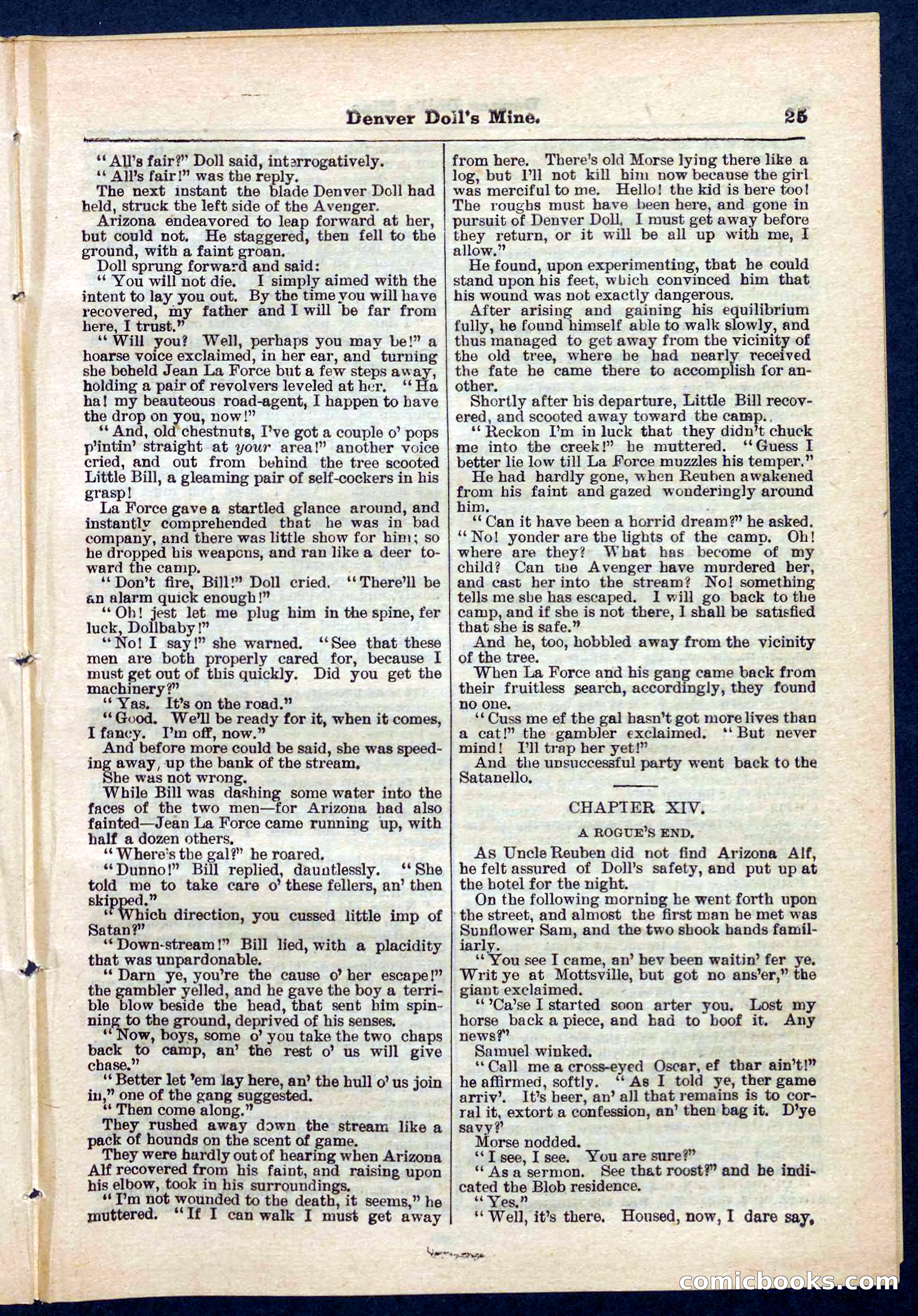 Beadle's Pocket Library No. 270 — page 25 of 32