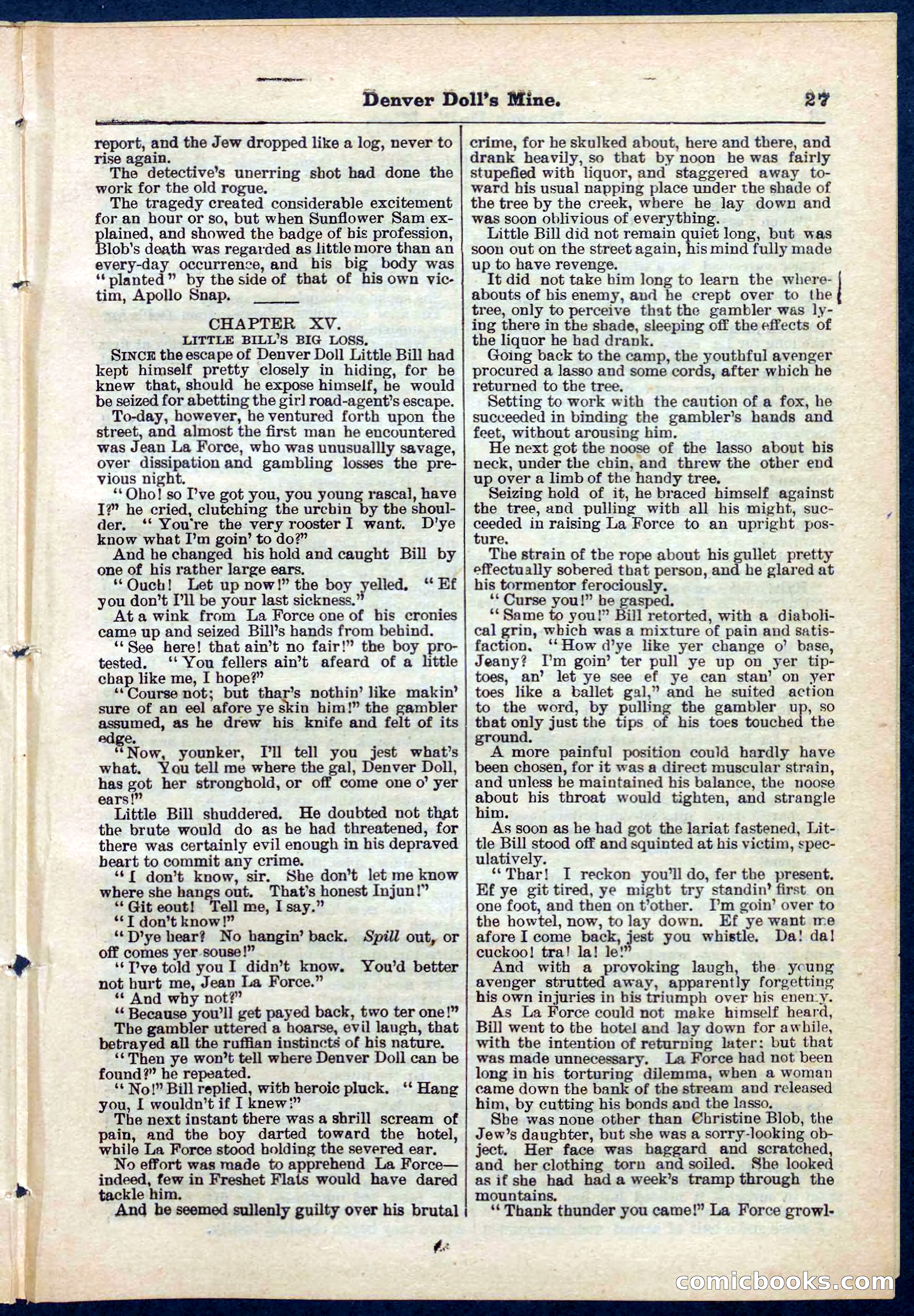 Beadle's Pocket Library No. 270 — page 27 of 32