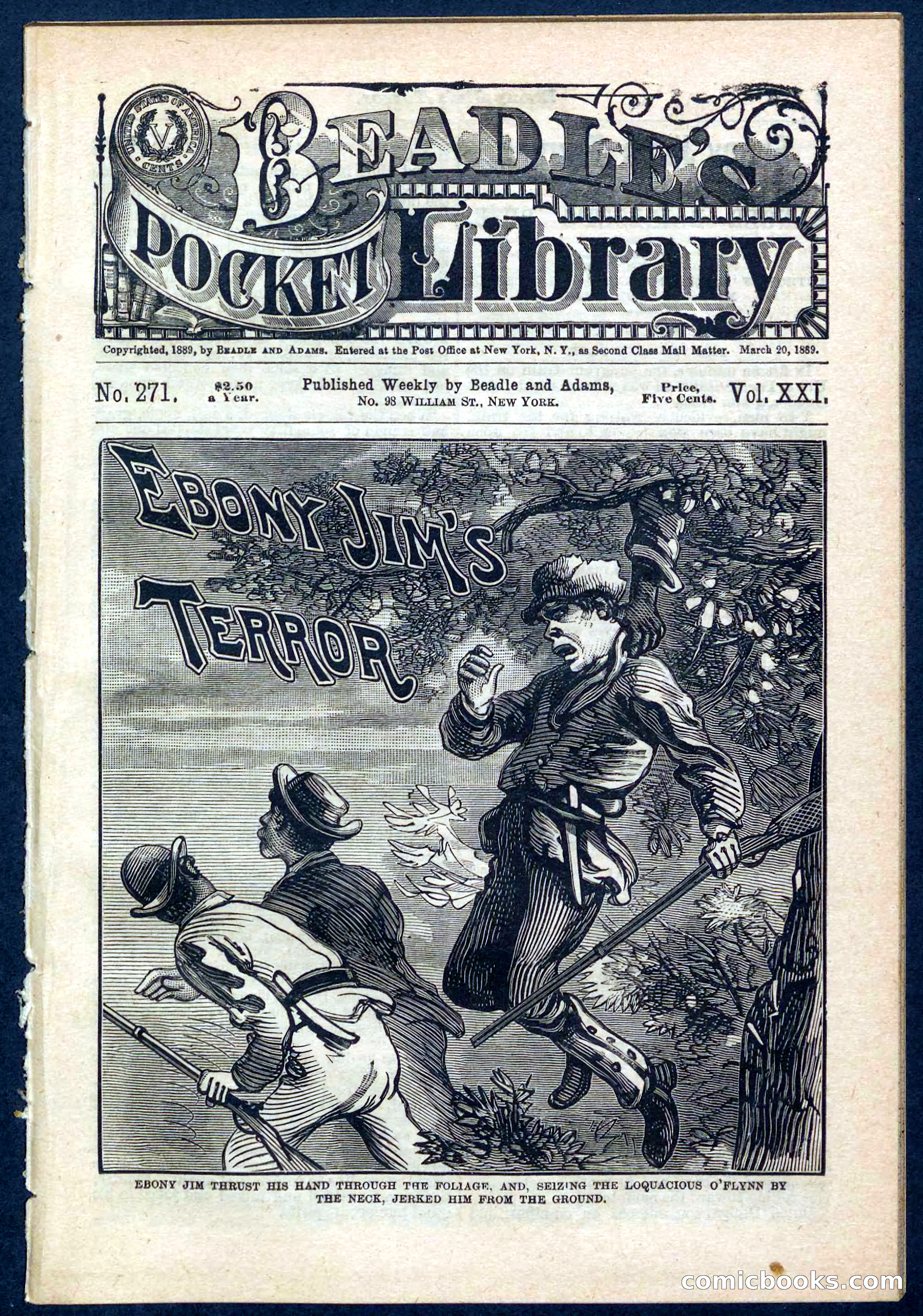 Beadle's Pocket Library No. 271 — page 1 of 48