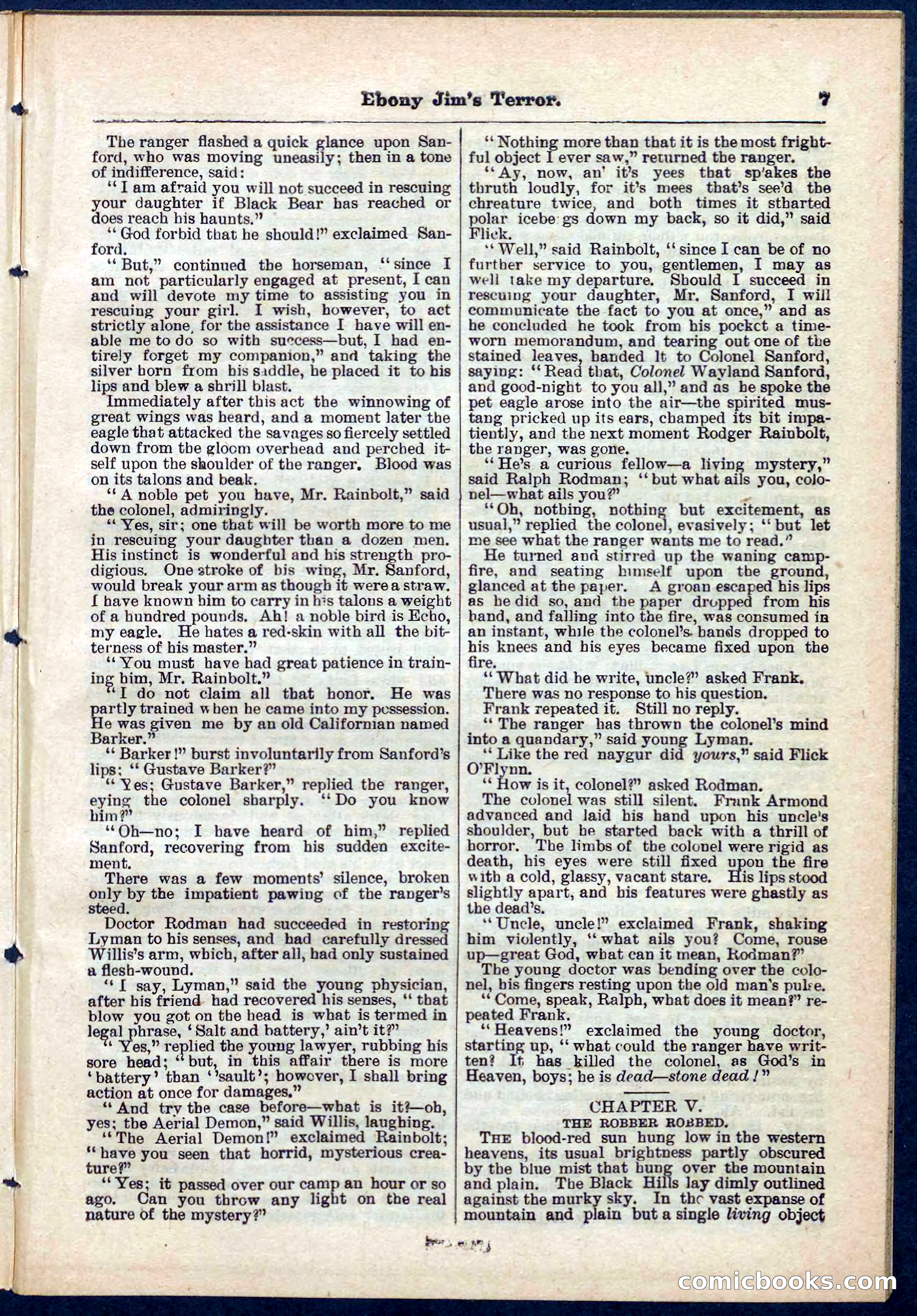 Beadle's Pocket Library No. 271 — page 7 of 48