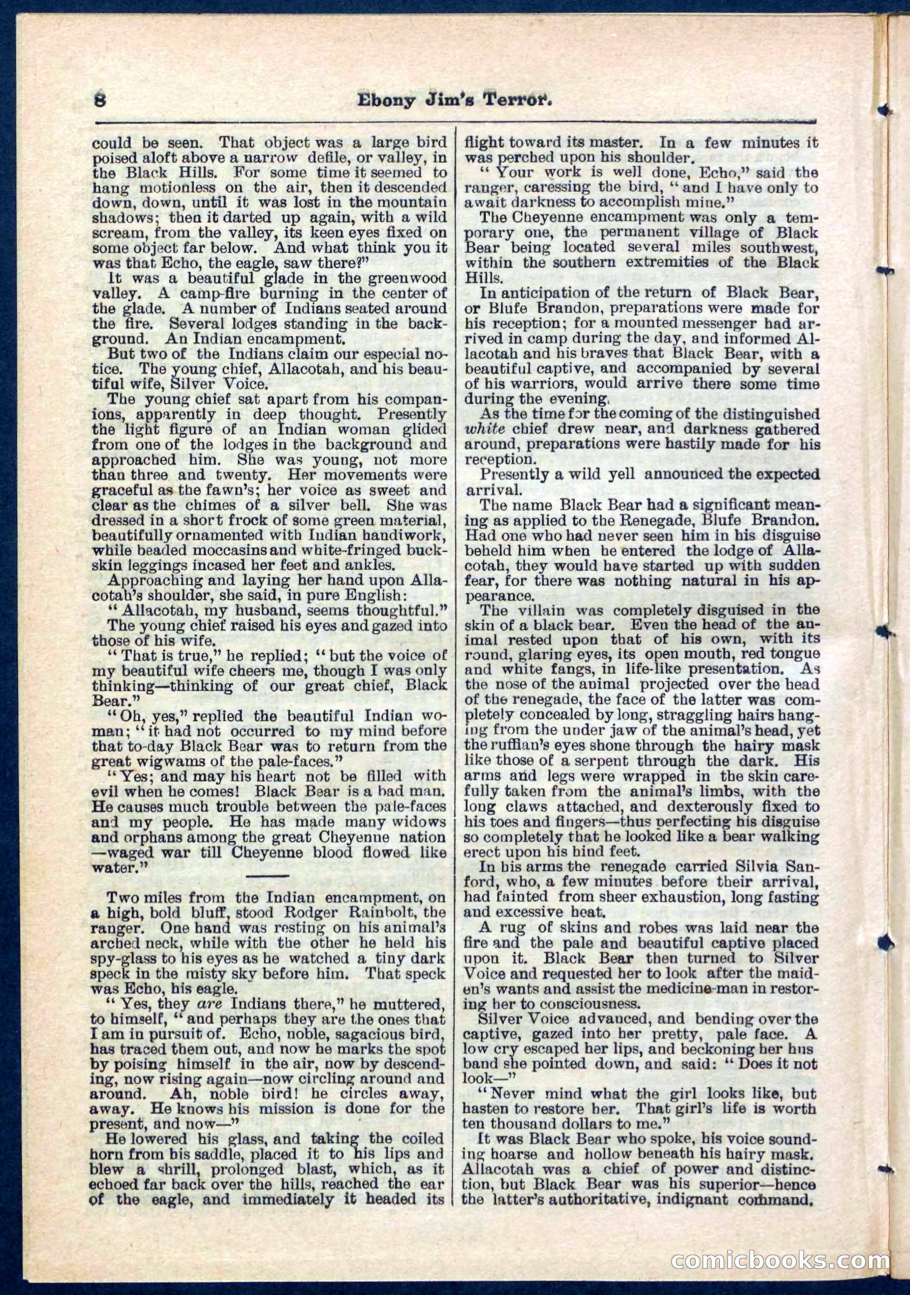 Beadle's Pocket Library No. 271 — page 8 of 48