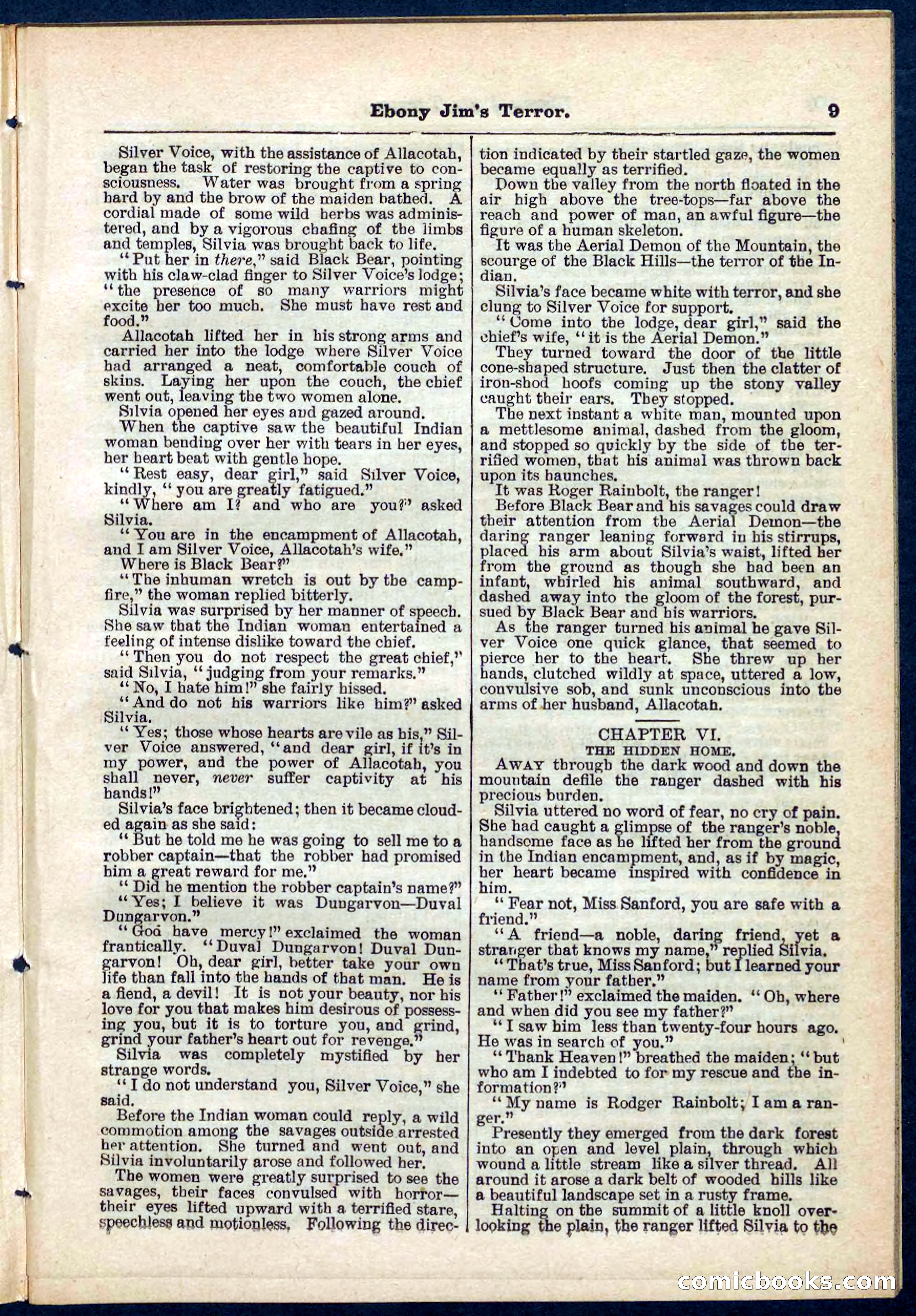 Beadle's Pocket Library No. 271 — page 9 of 48