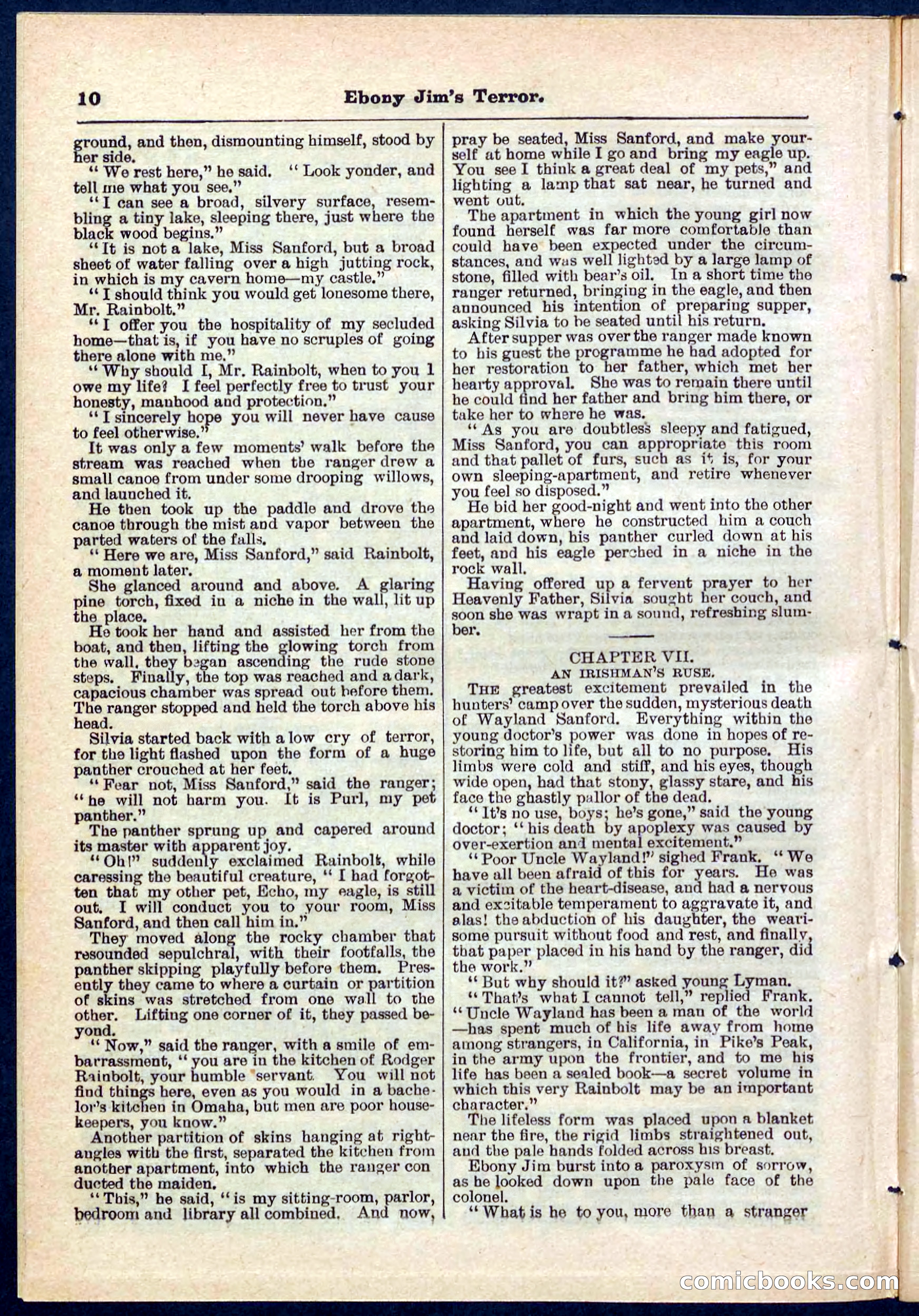 Beadle's Pocket Library No. 271 — page 10 of 48