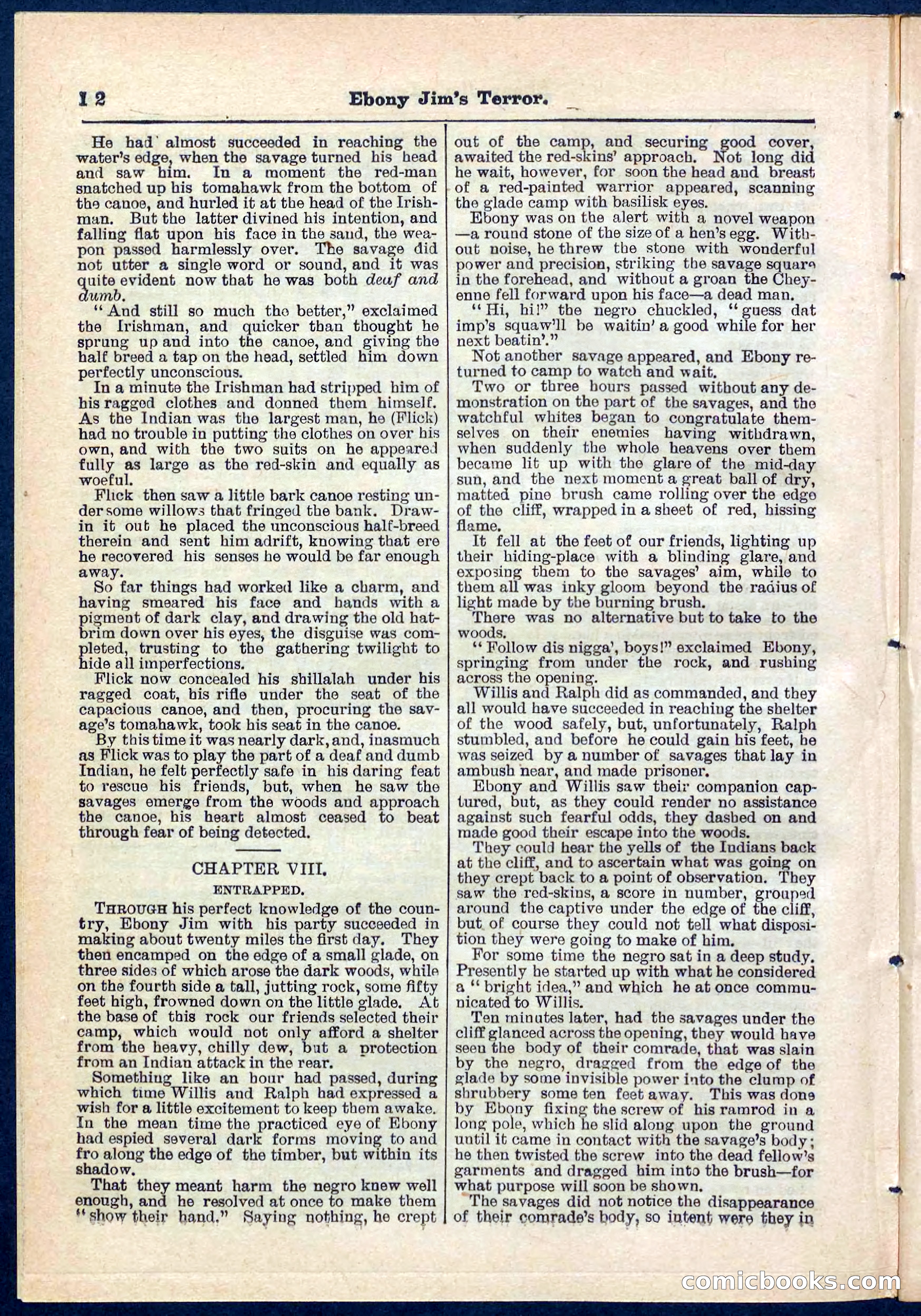 Beadle's Pocket Library No. 271 — page 12 of 48