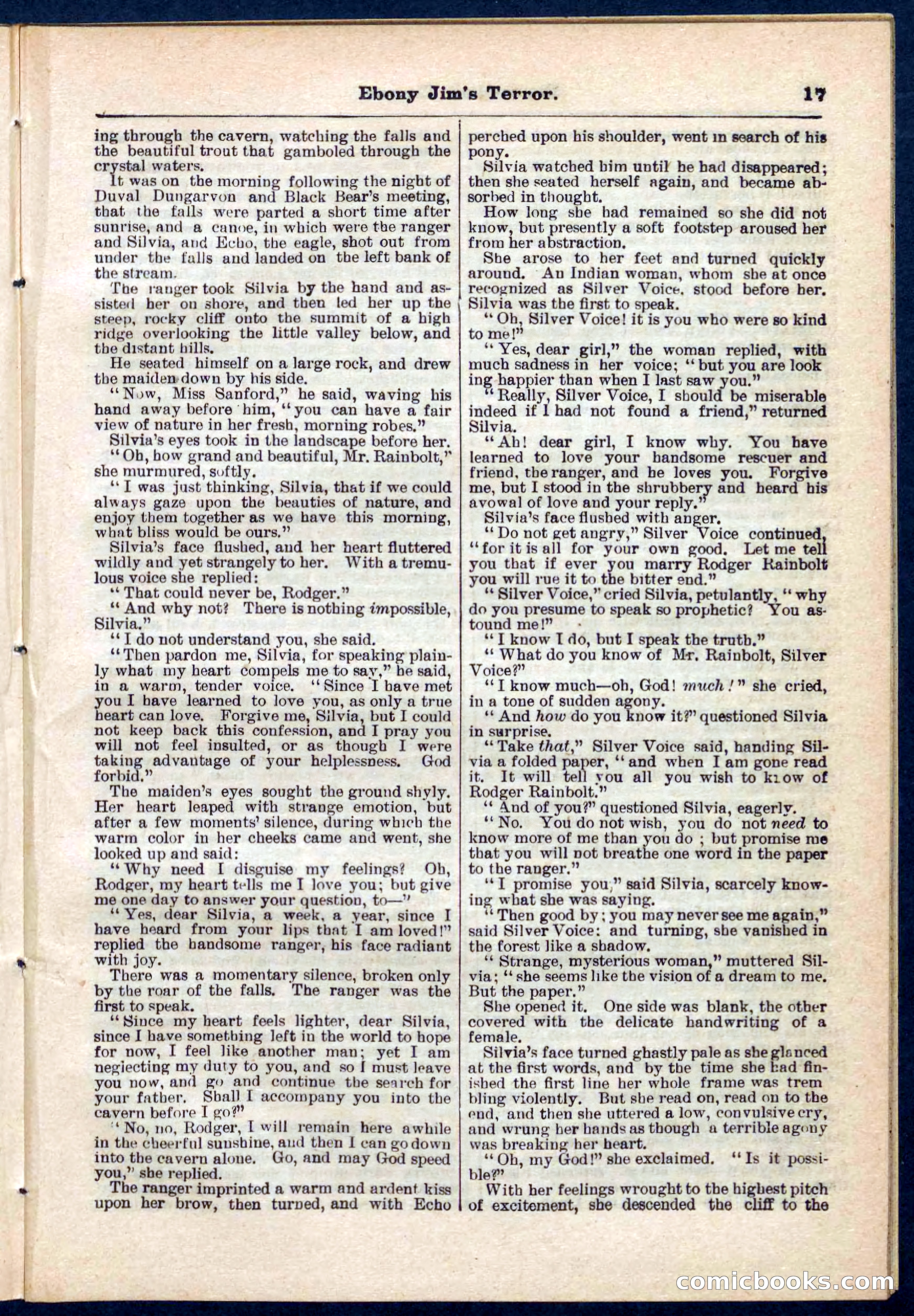 Beadle's Pocket Library No. 271 — page 17 of 48