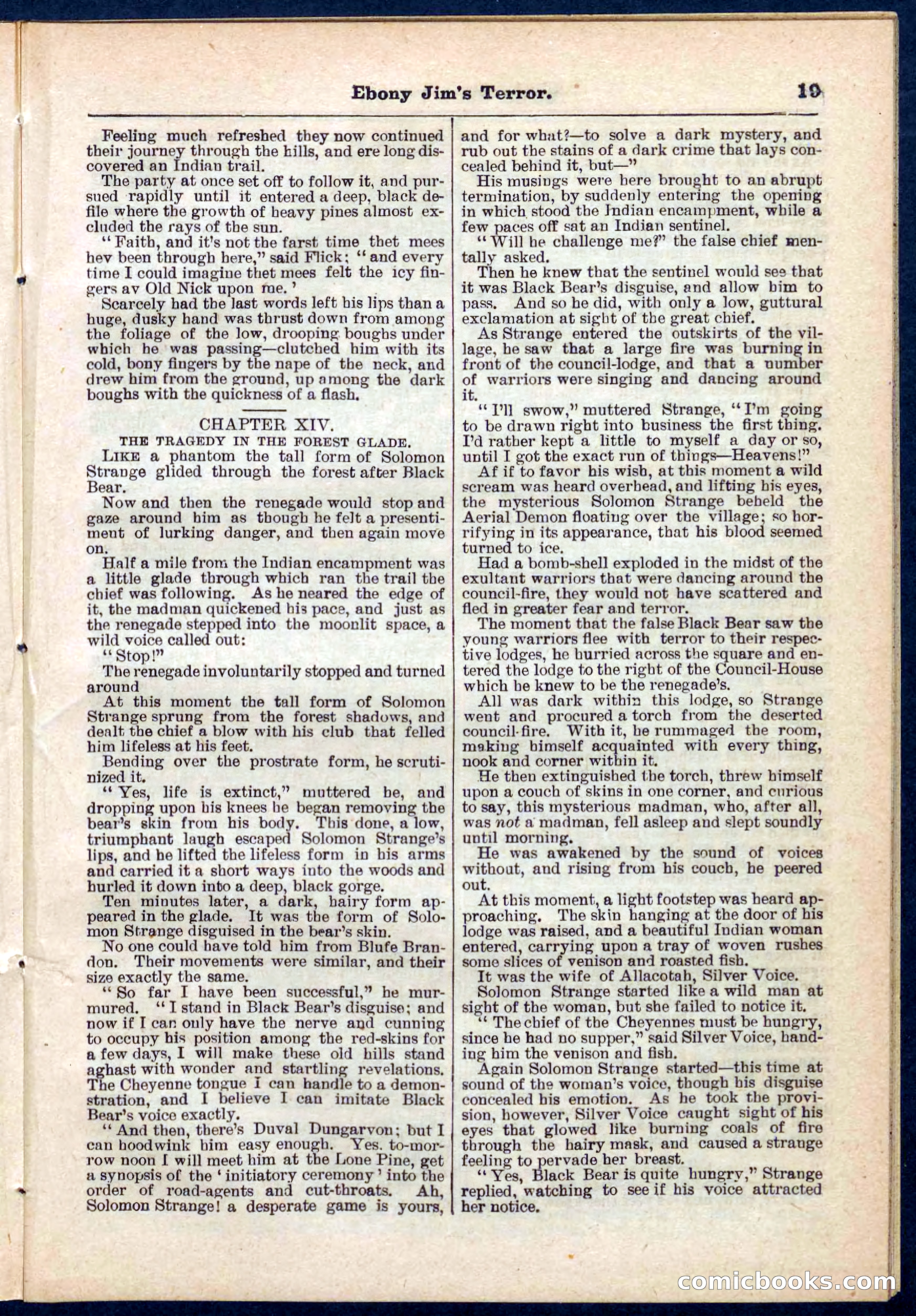 Beadle's Pocket Library No. 271 — page 19 of 48