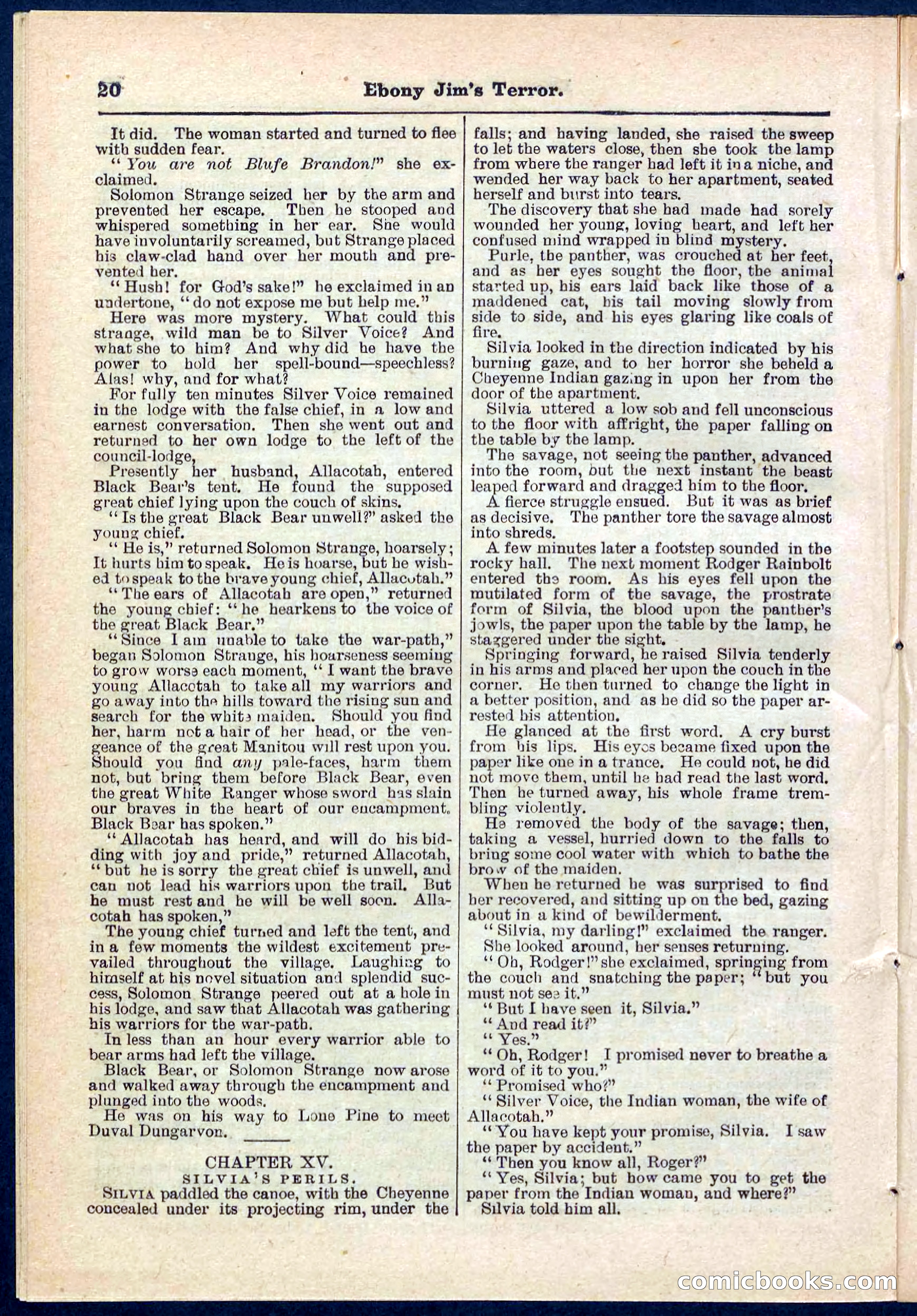 Beadle's Pocket Library No. 271 — page 20 of 48