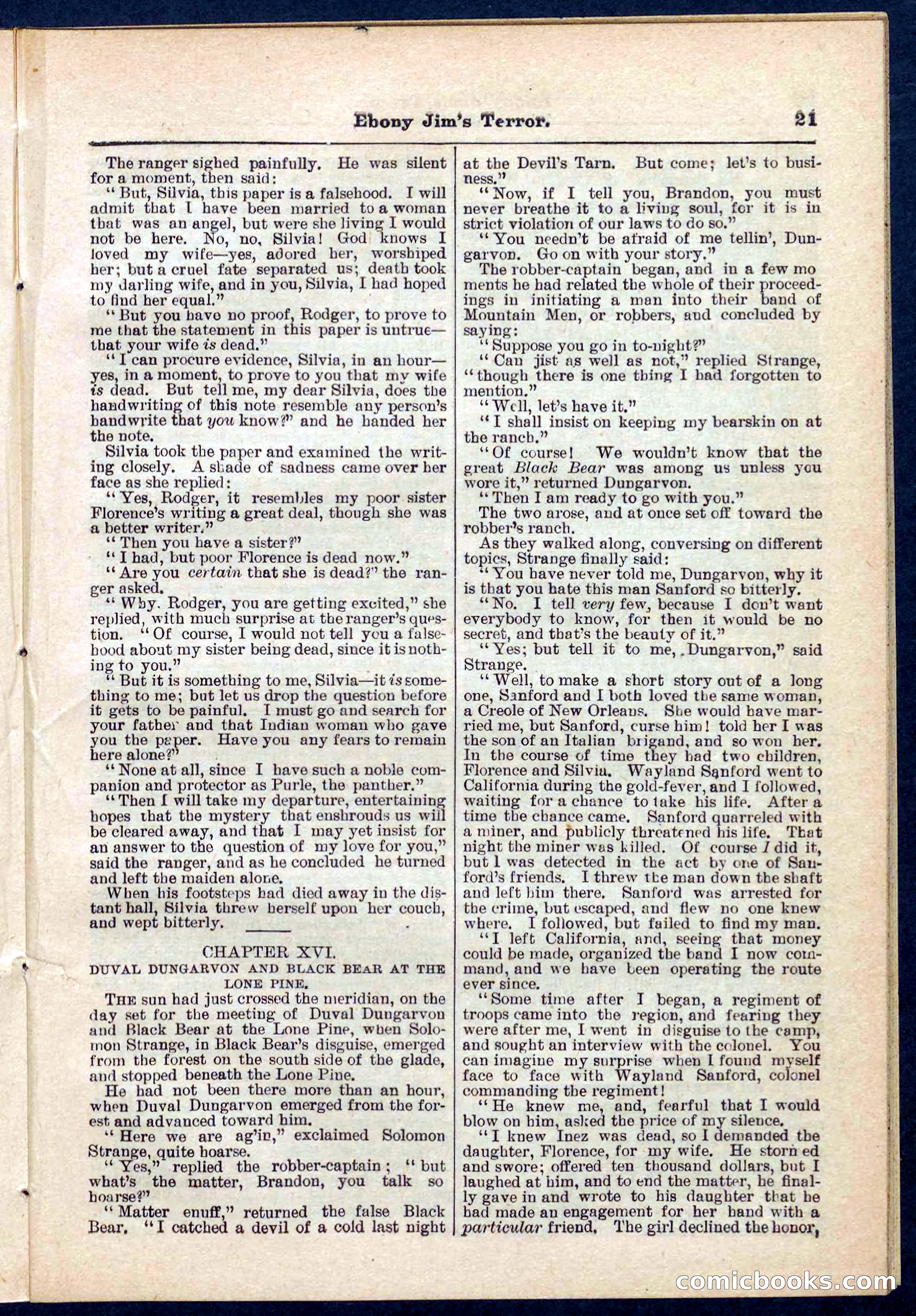 Beadle's Pocket Library No. 271 — page 21 of 48