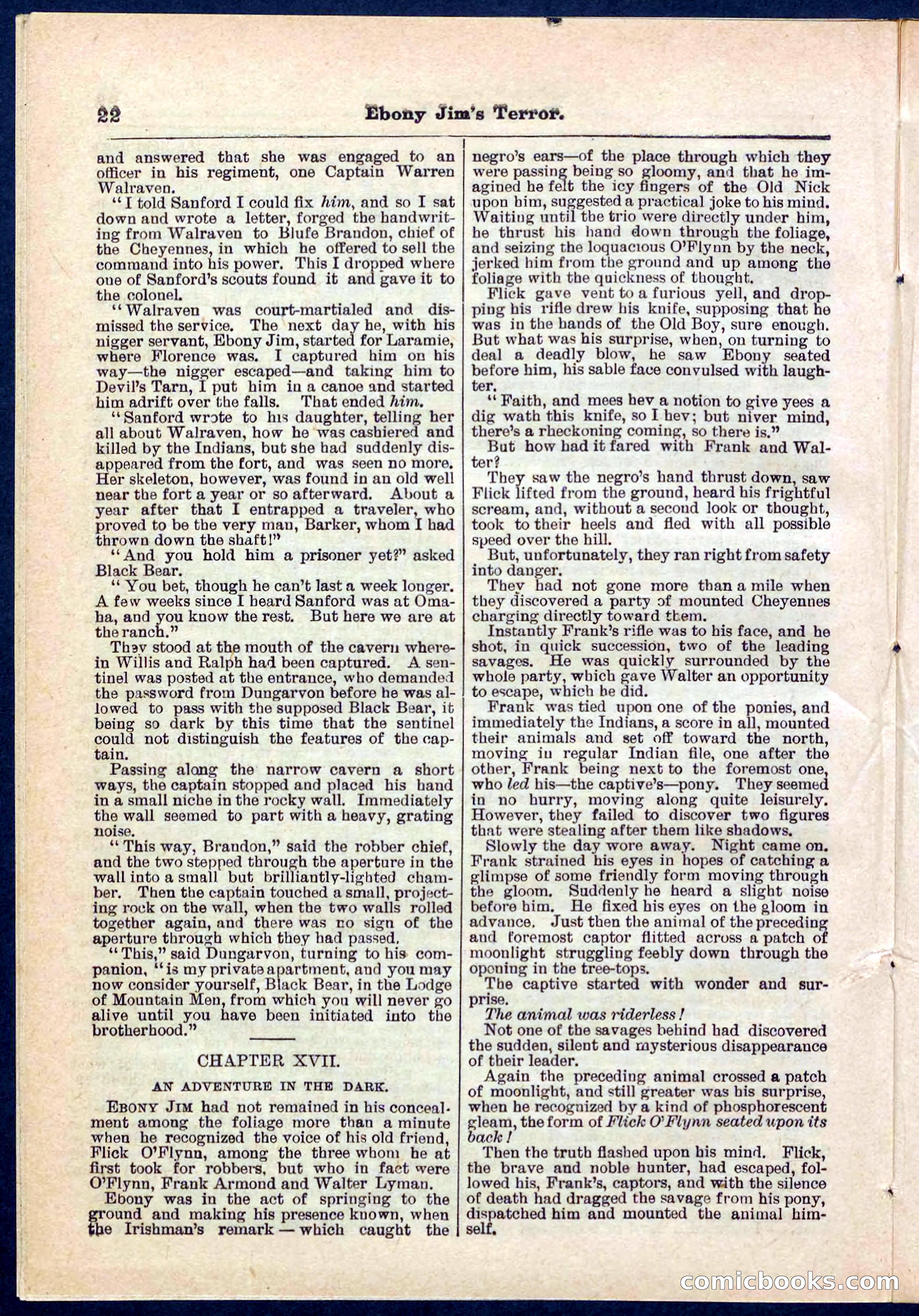 Beadle's Pocket Library No. 271 — page 22 of 48