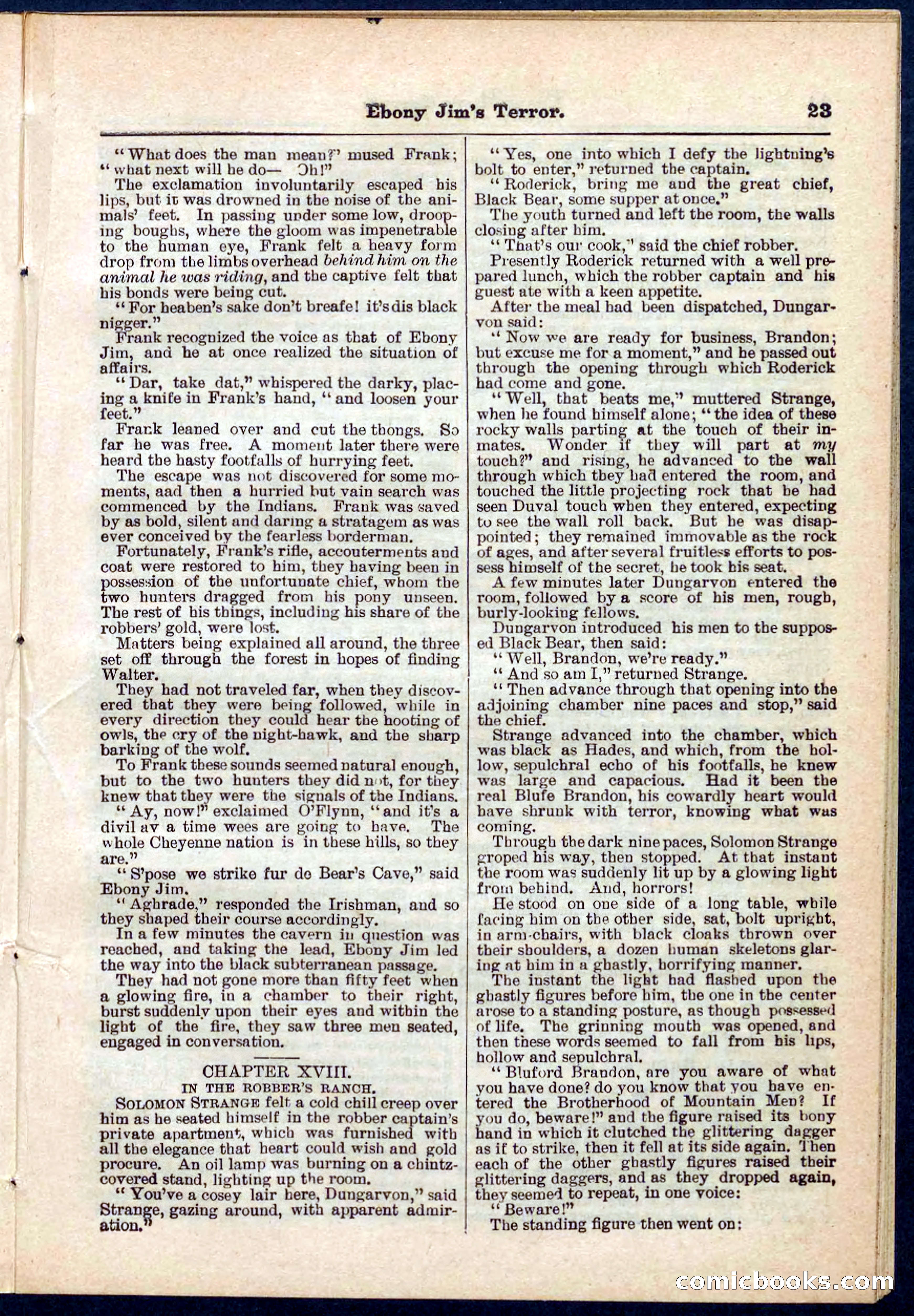 Beadle's Pocket Library No. 271 — page 23 of 48