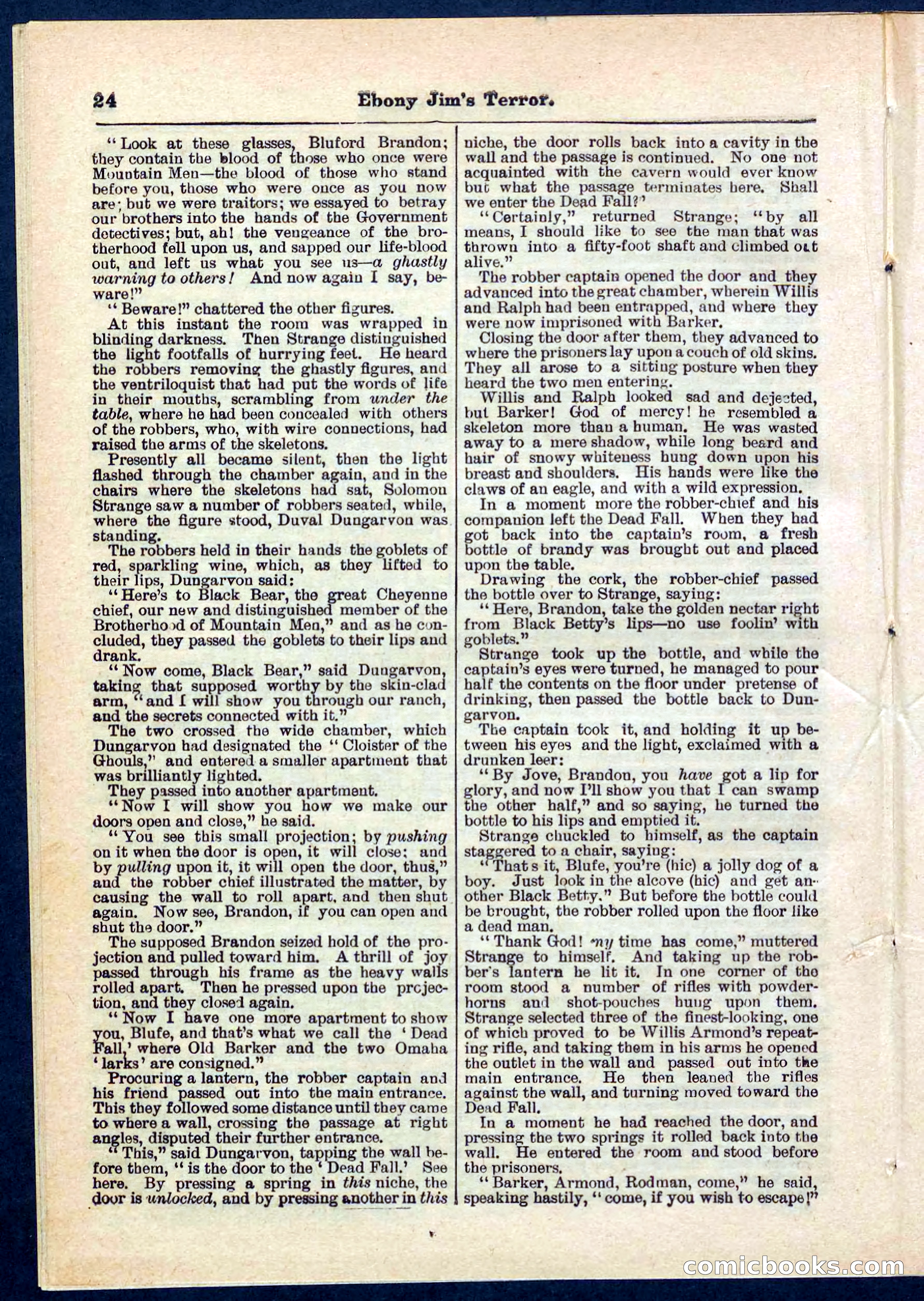 Beadle's Pocket Library No. 271 — page 24 of 48