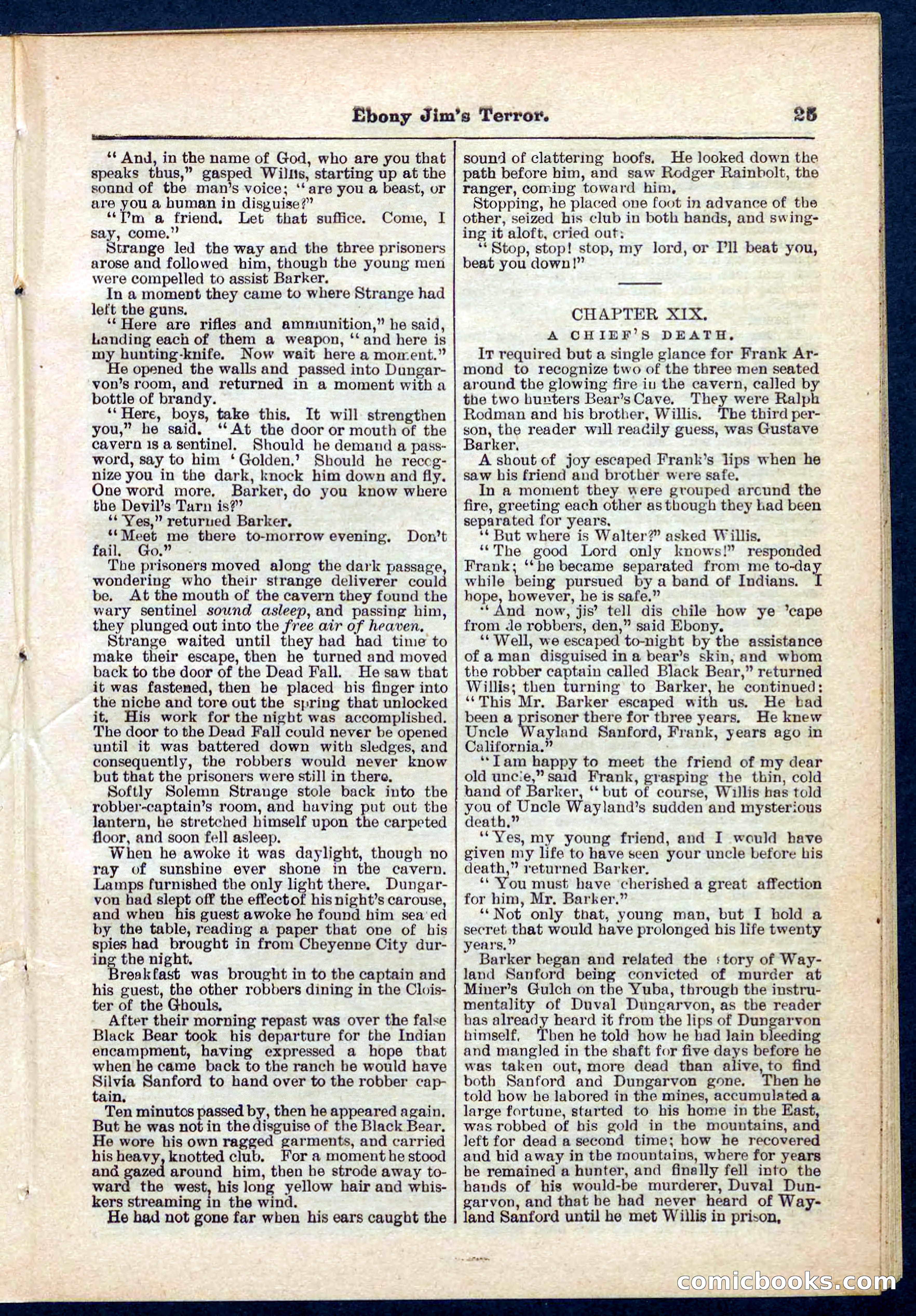 Beadle's Pocket Library No. 271 — page 25 of 48