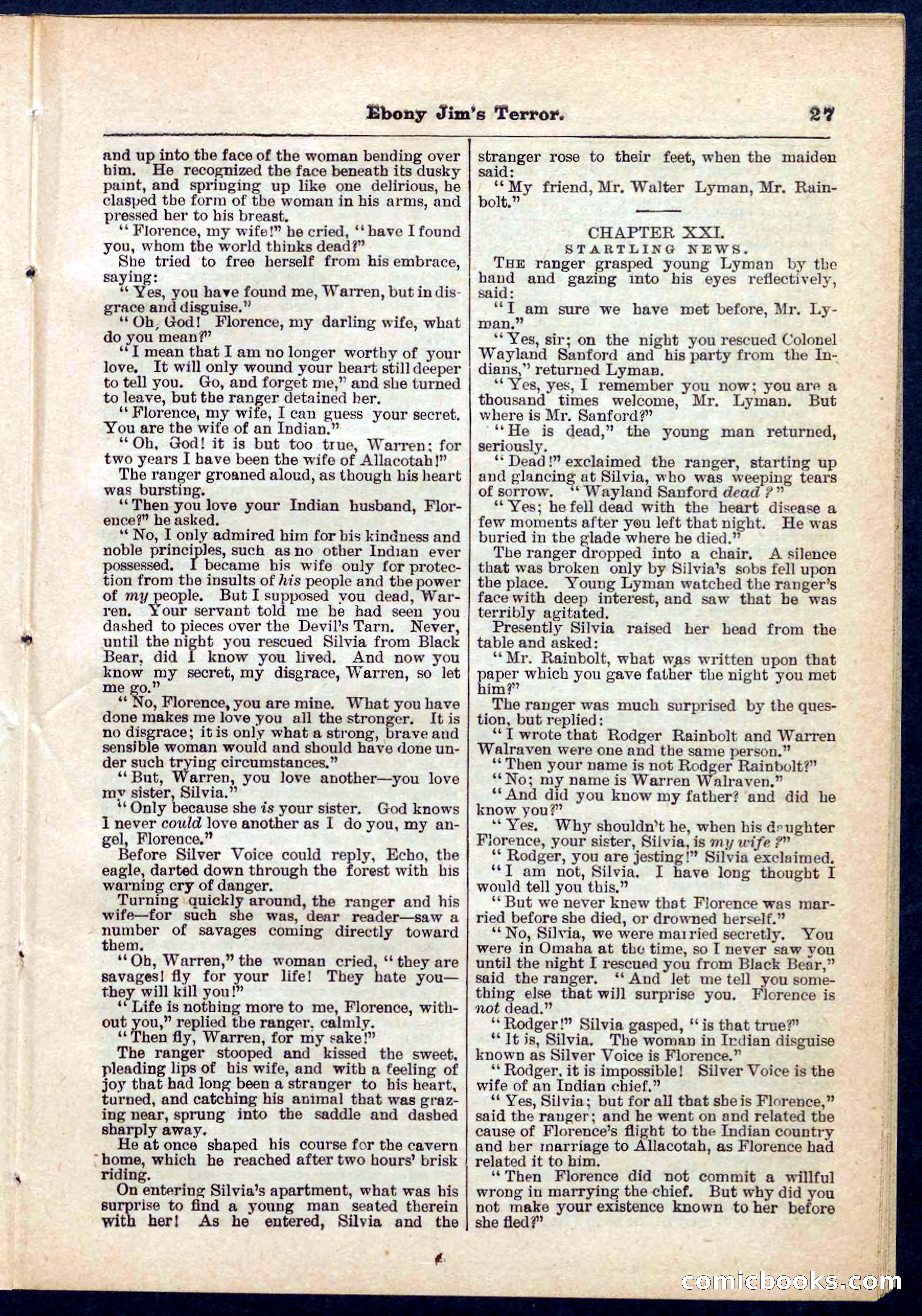 Beadle's Pocket Library No. 271 — page 27 of 48