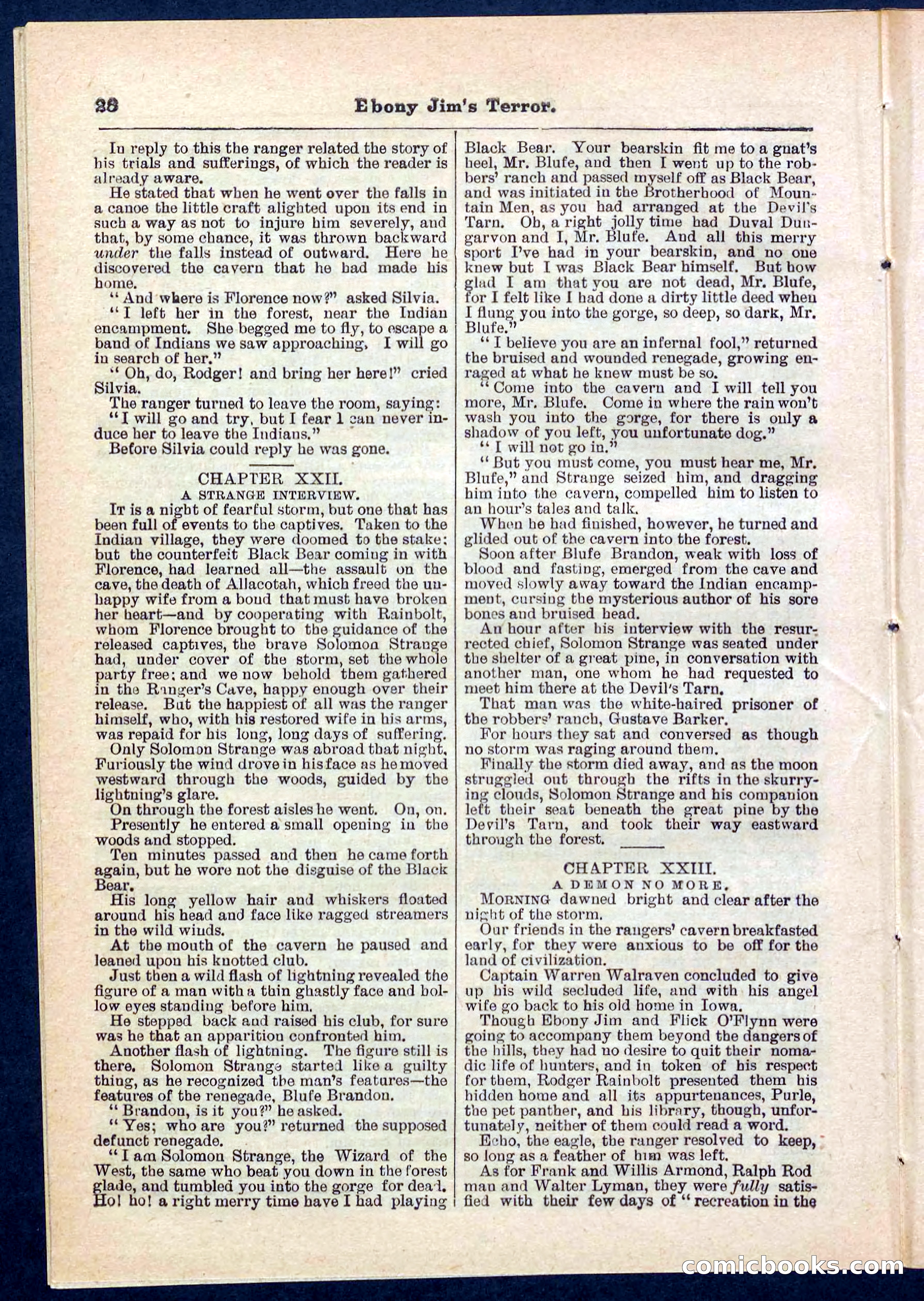 Beadle's Pocket Library No. 271 — page 28 of 48