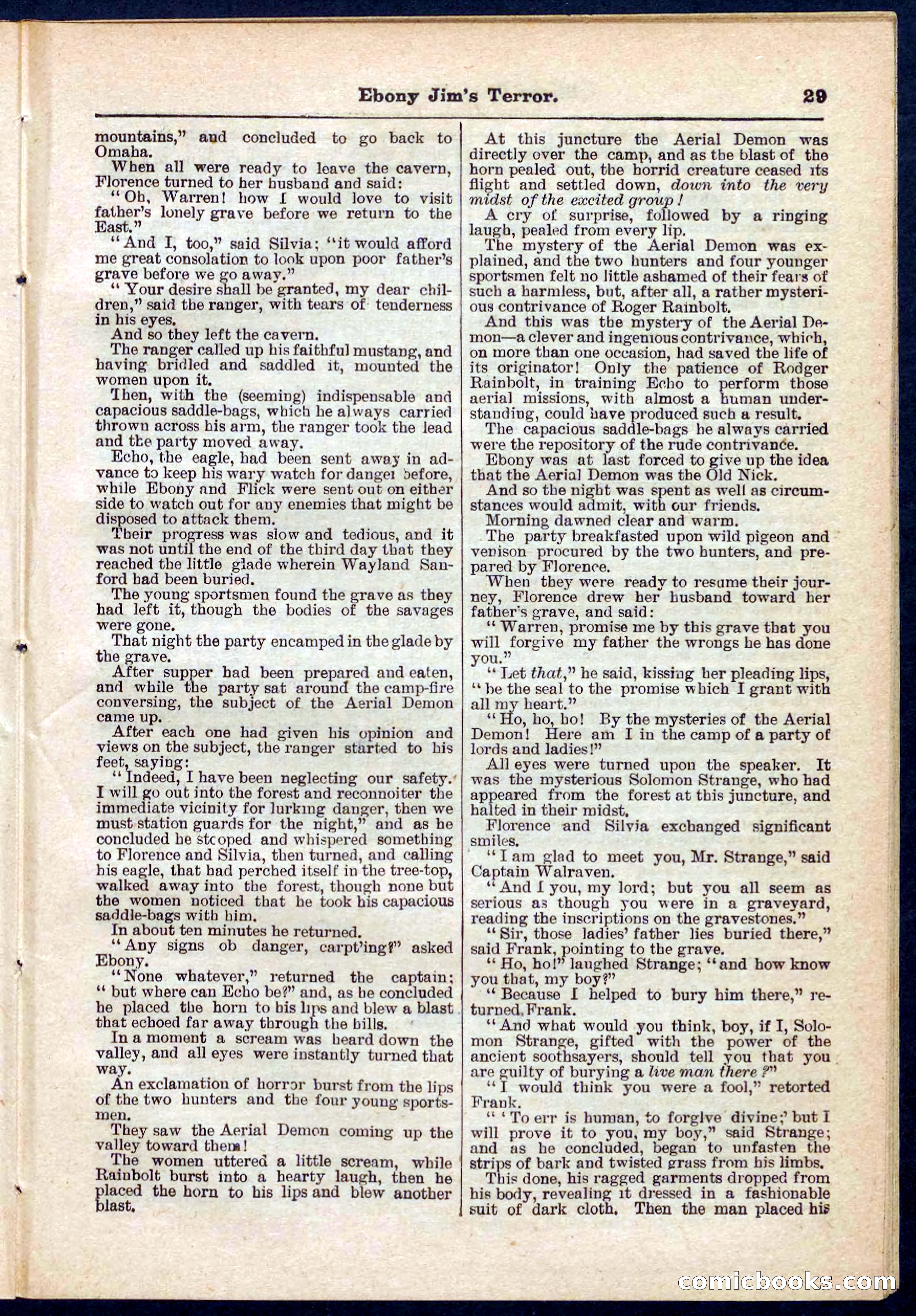 Beadle's Pocket Library No. 271 — page 29 of 48