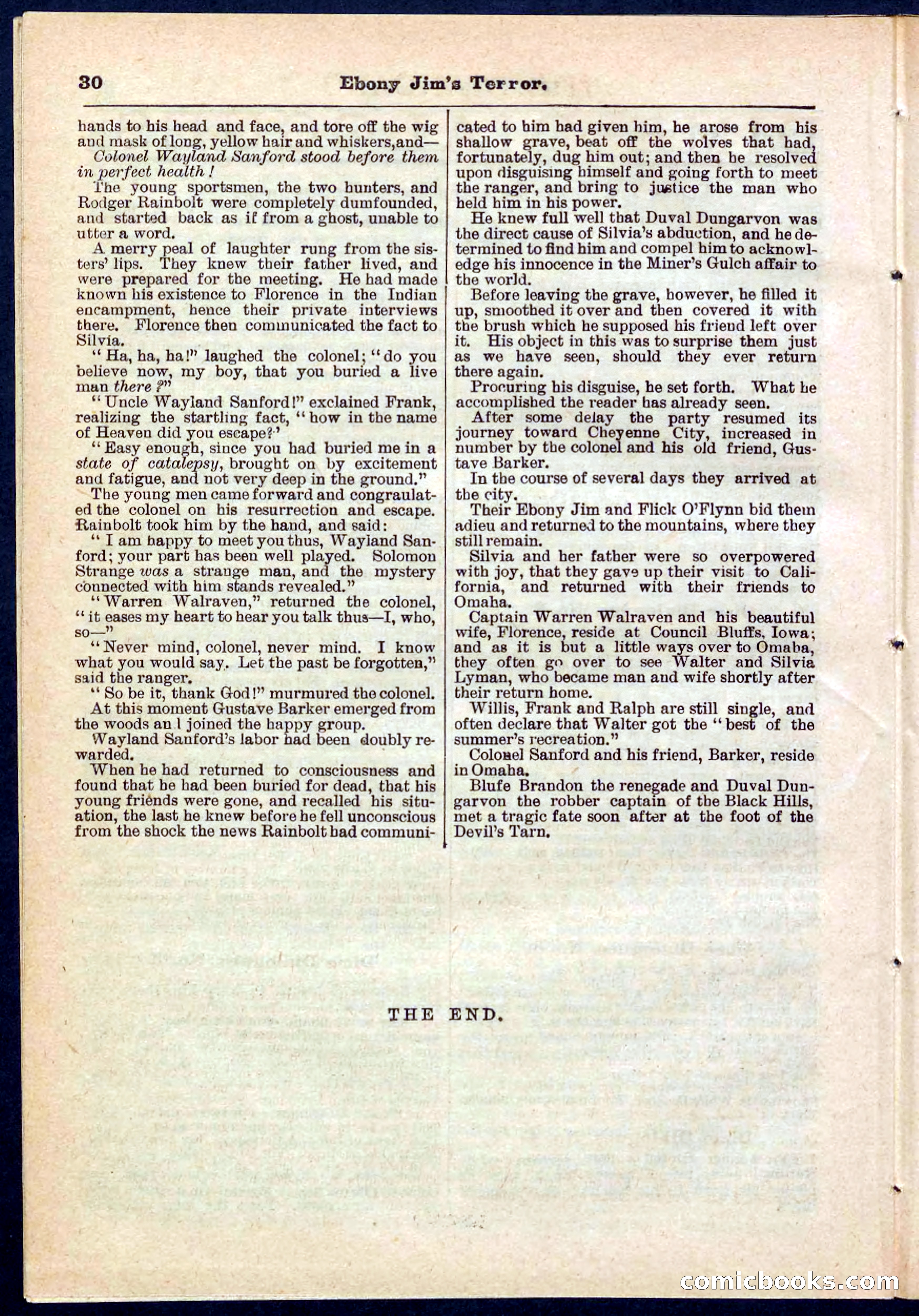 Beadle's Pocket Library No. 271 — page 30 of 48