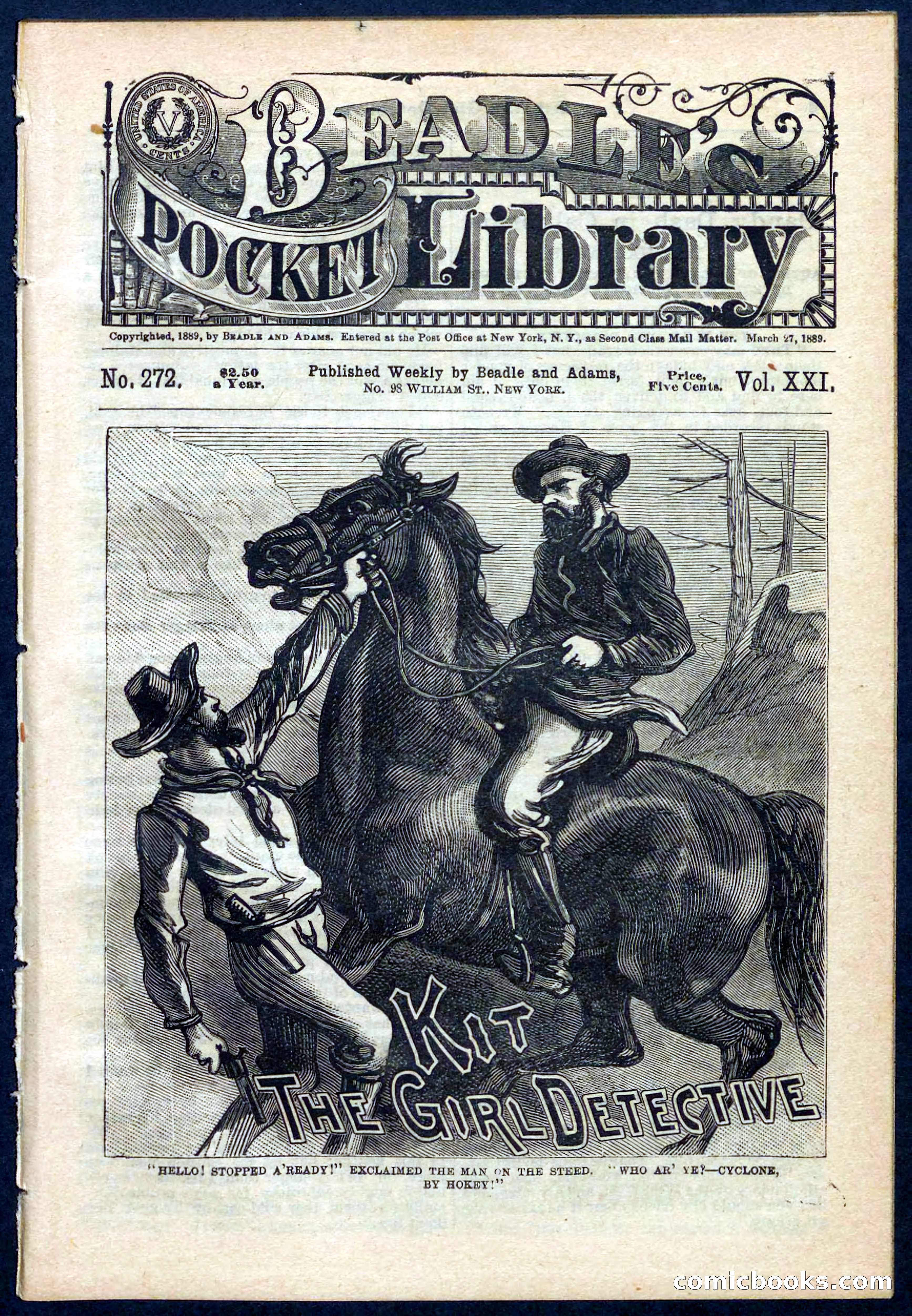 Beadle's Pocket Library No. 272 — page 1 of 32
