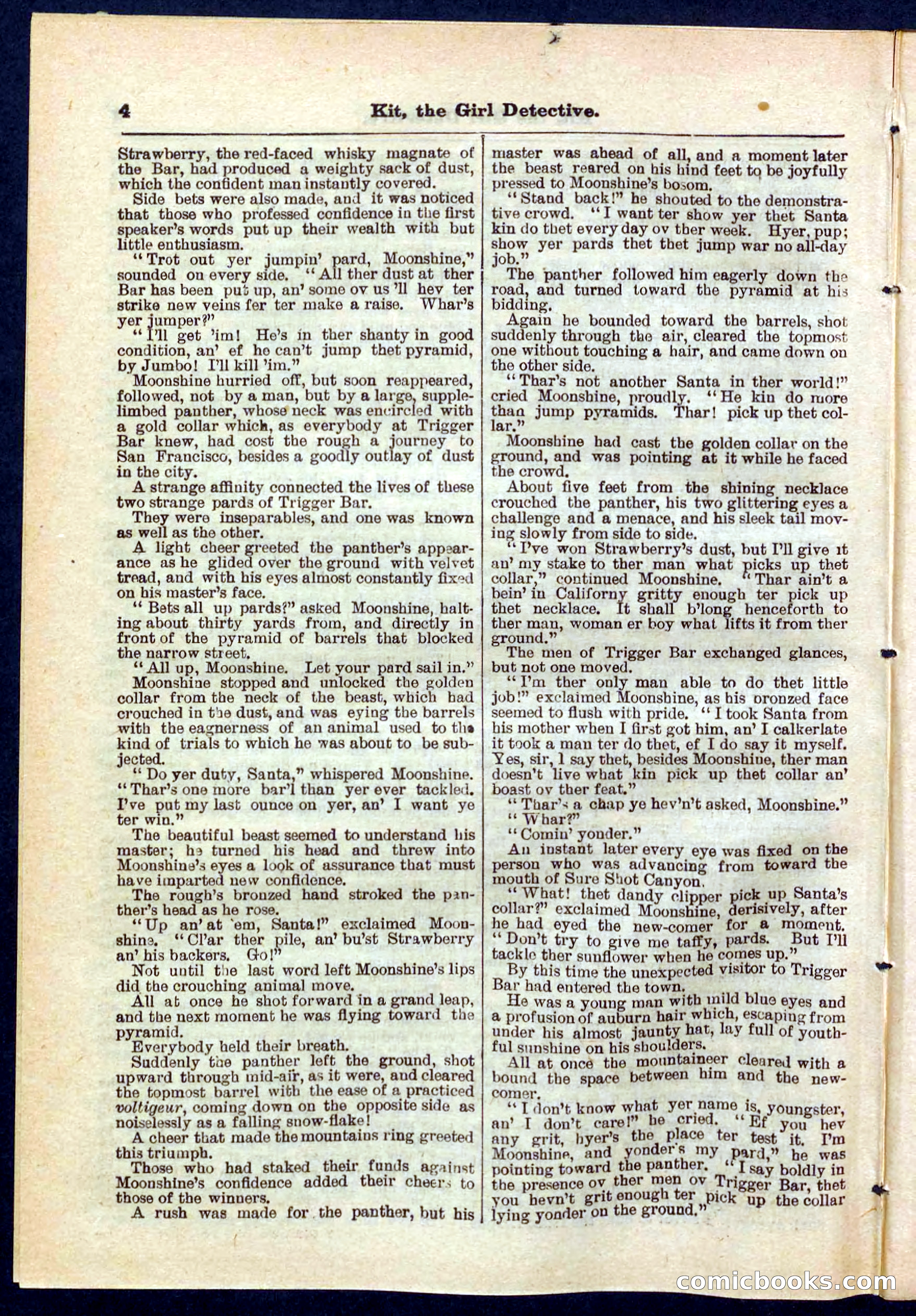 Beadle's Pocket Library No. 272 — page 4 of 32