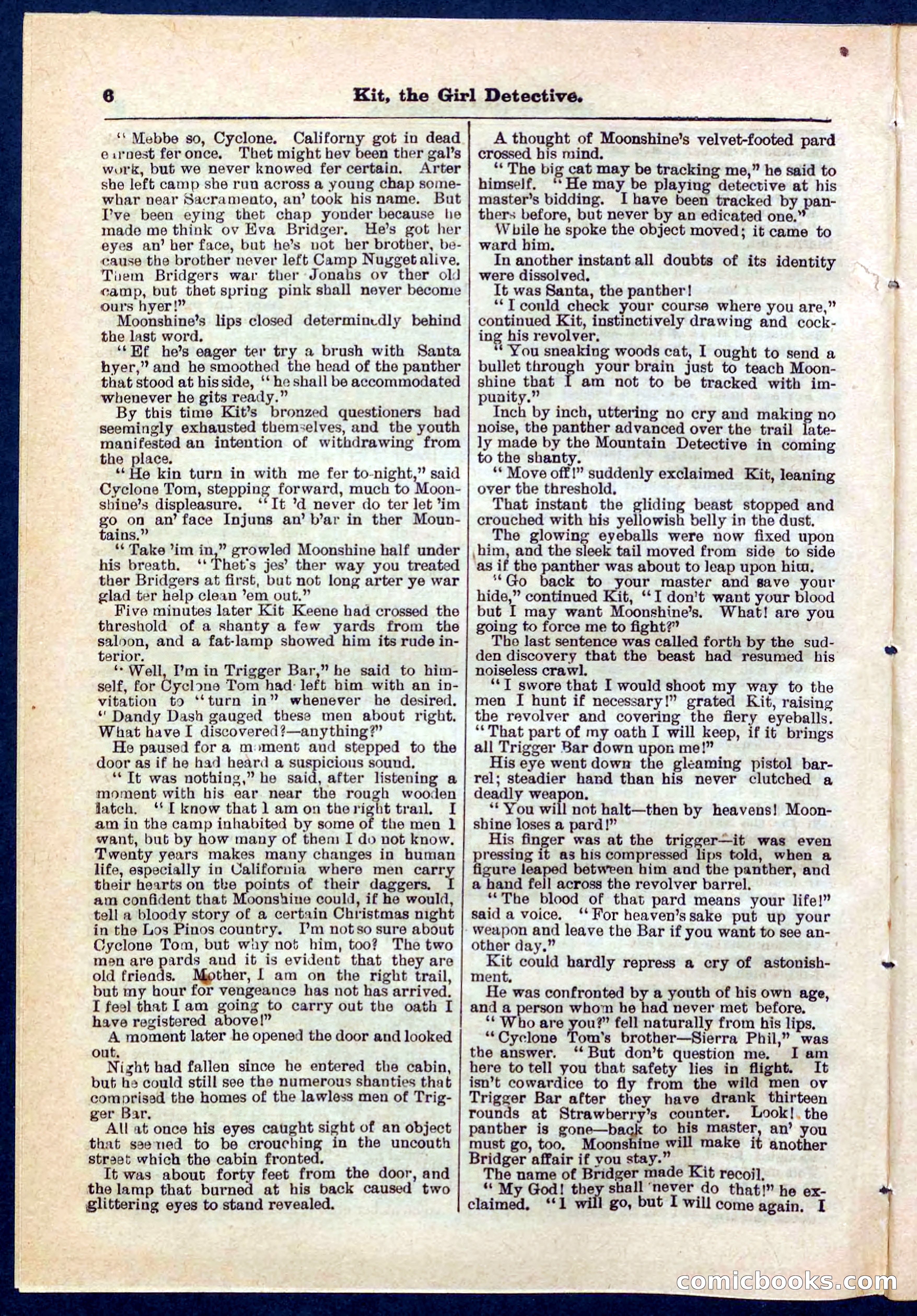 Beadle's Pocket Library No. 272 — page 6 of 32
