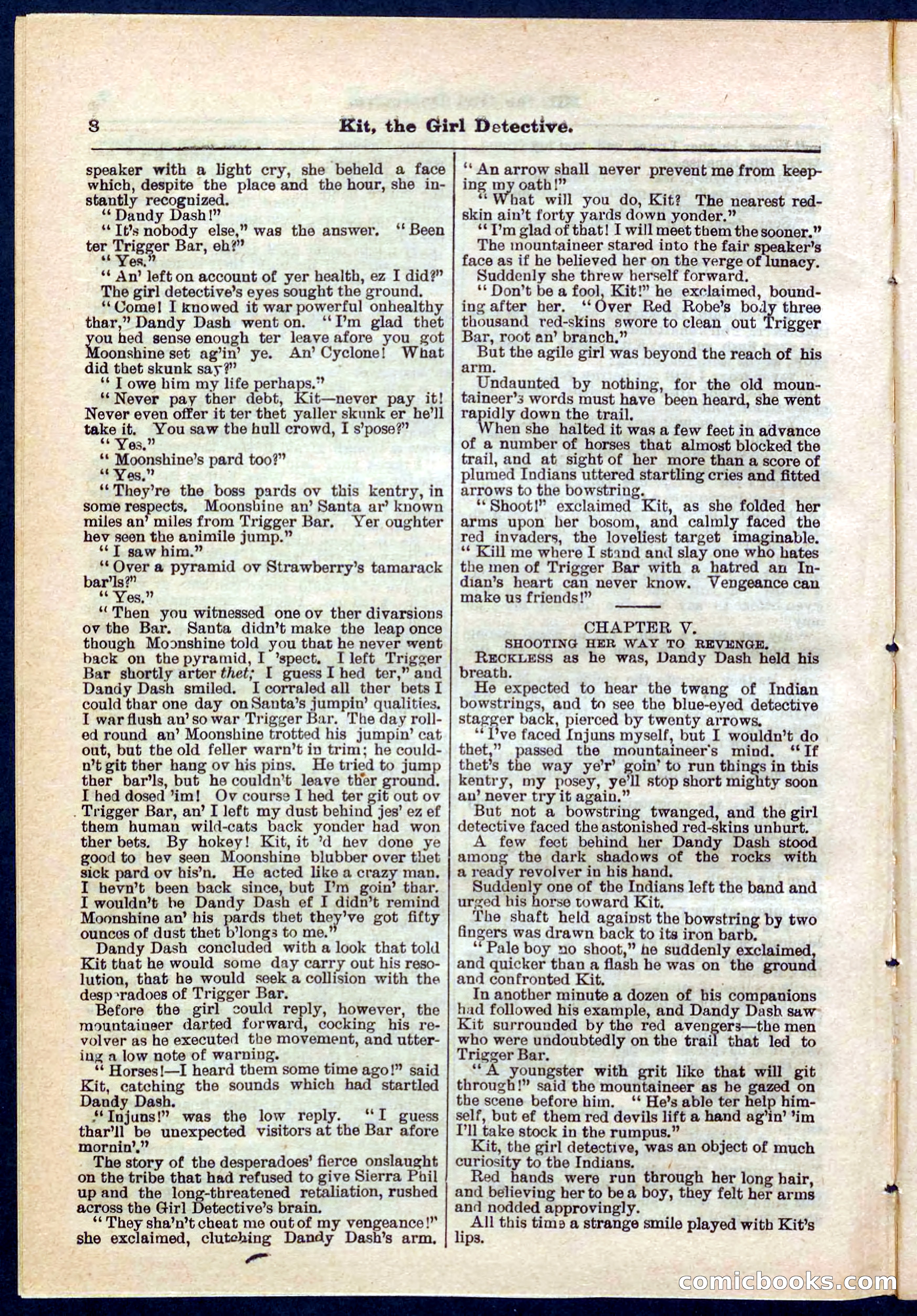 Beadle's Pocket Library No. 272 — page 8 of 32