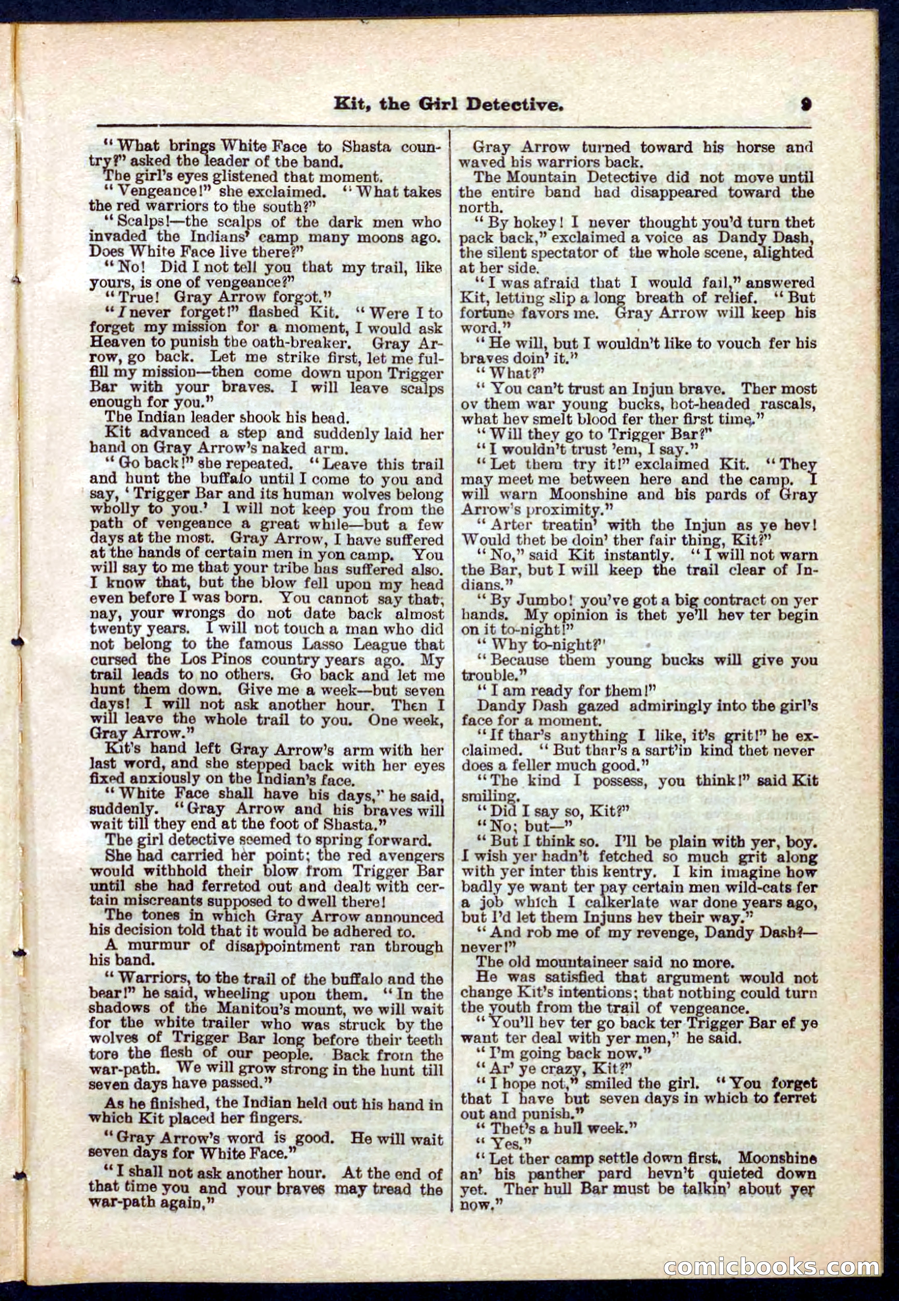 Beadle's Pocket Library No. 272 — page 9 of 32