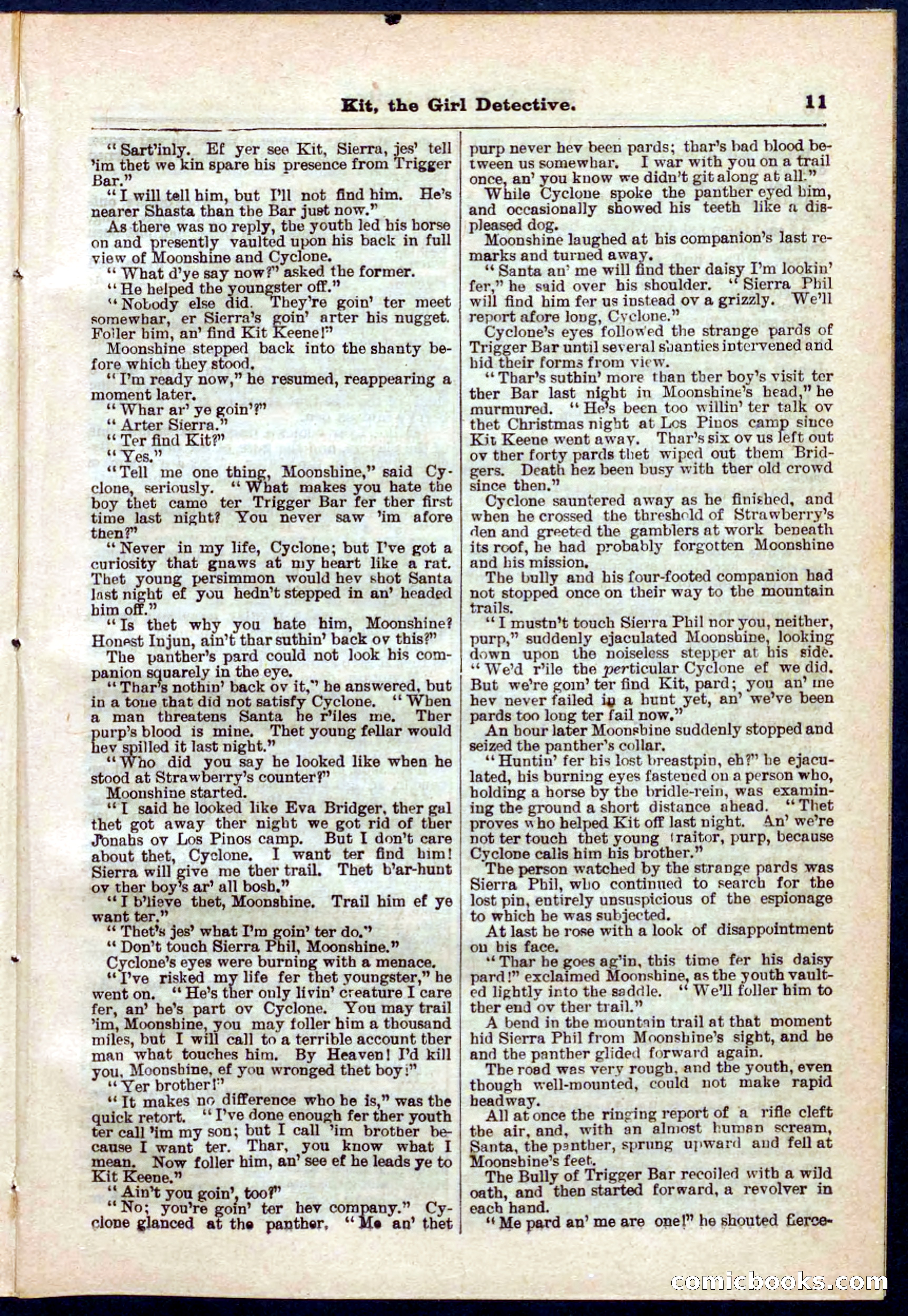 Beadle's Pocket Library No. 272 — page 11 of 32