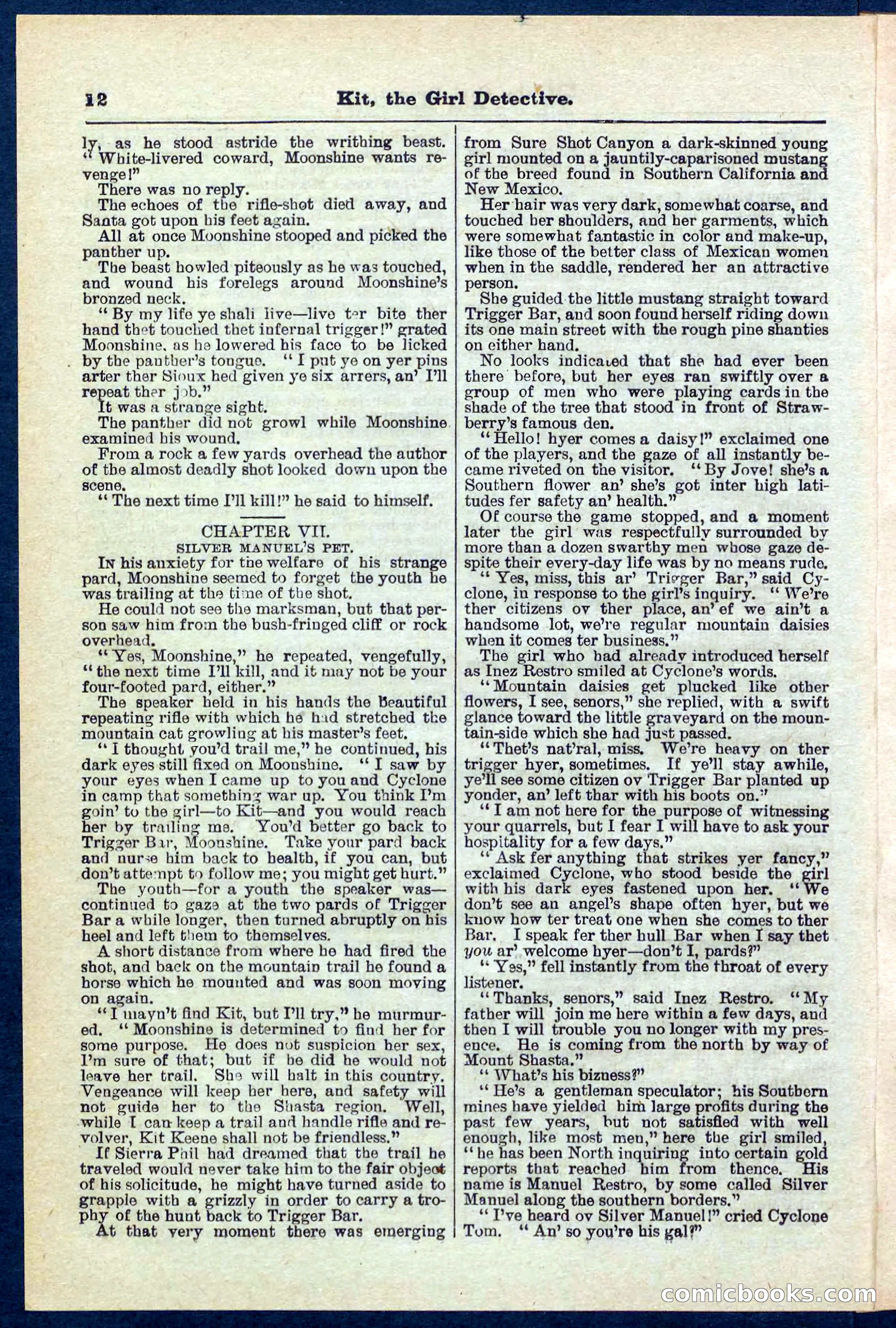 Beadle's Pocket Library No. 272 — page 12 of 32
