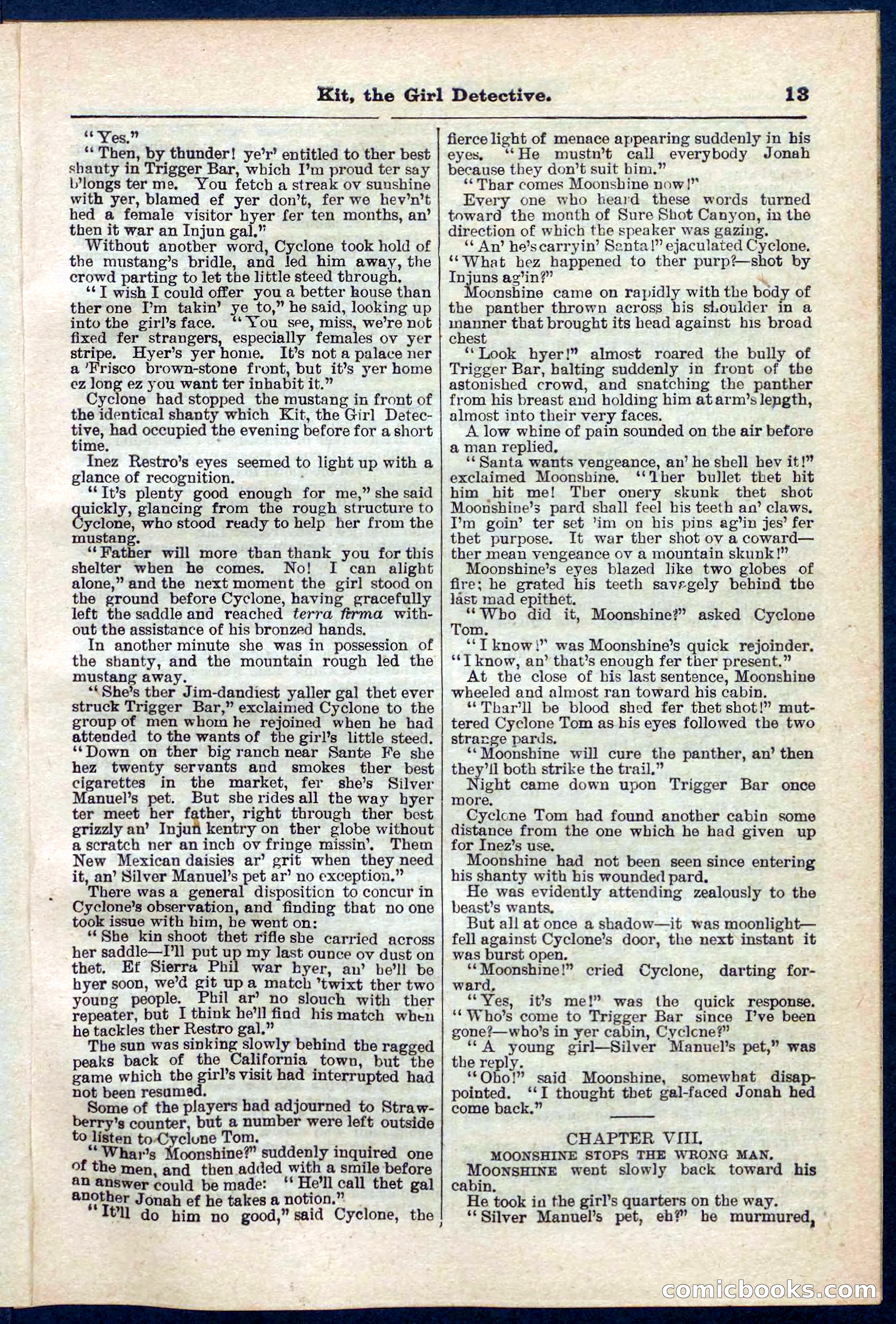 Beadle's Pocket Library No. 272 — page 13 of 32