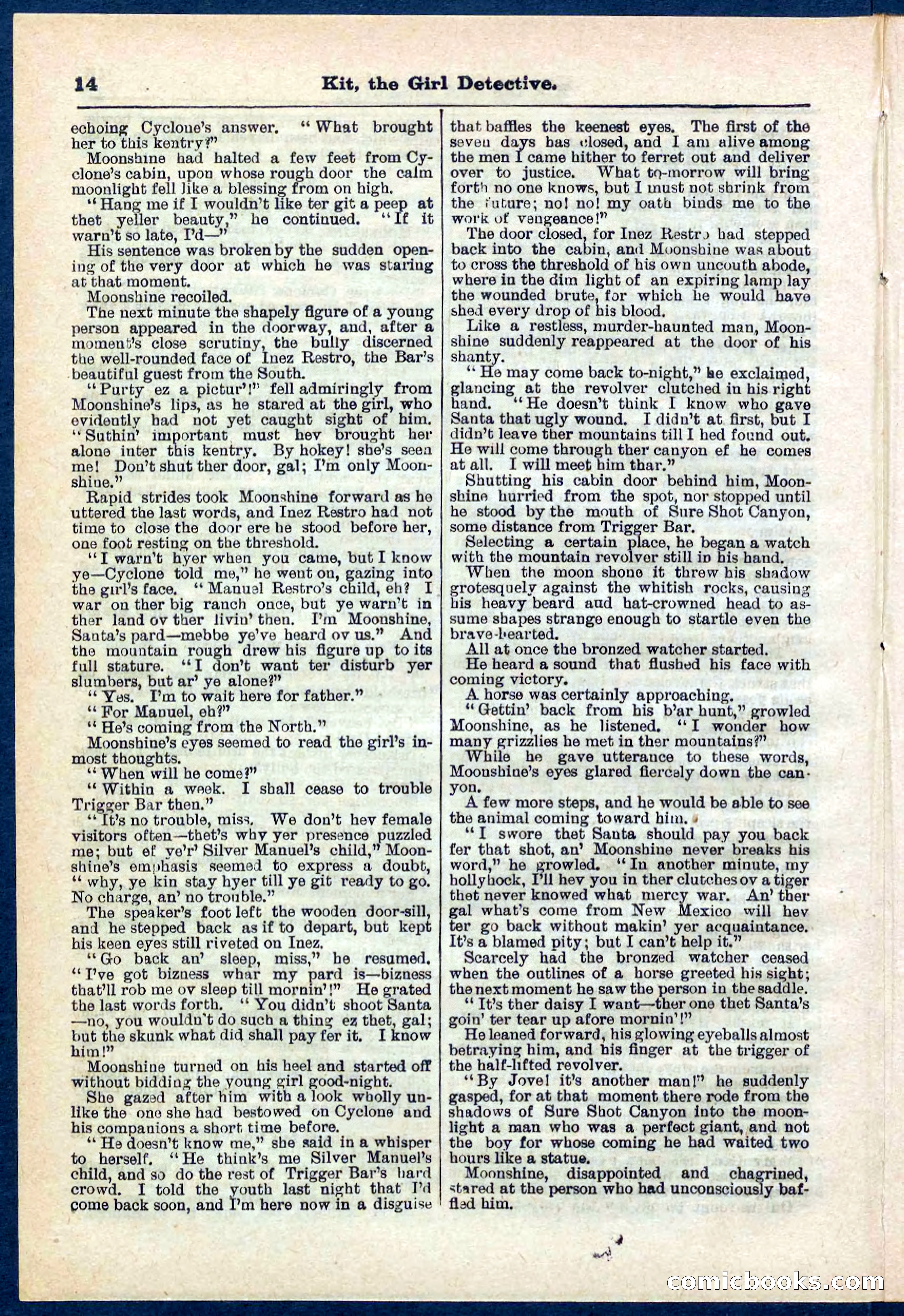Beadle's Pocket Library No. 272 — page 14 of 32