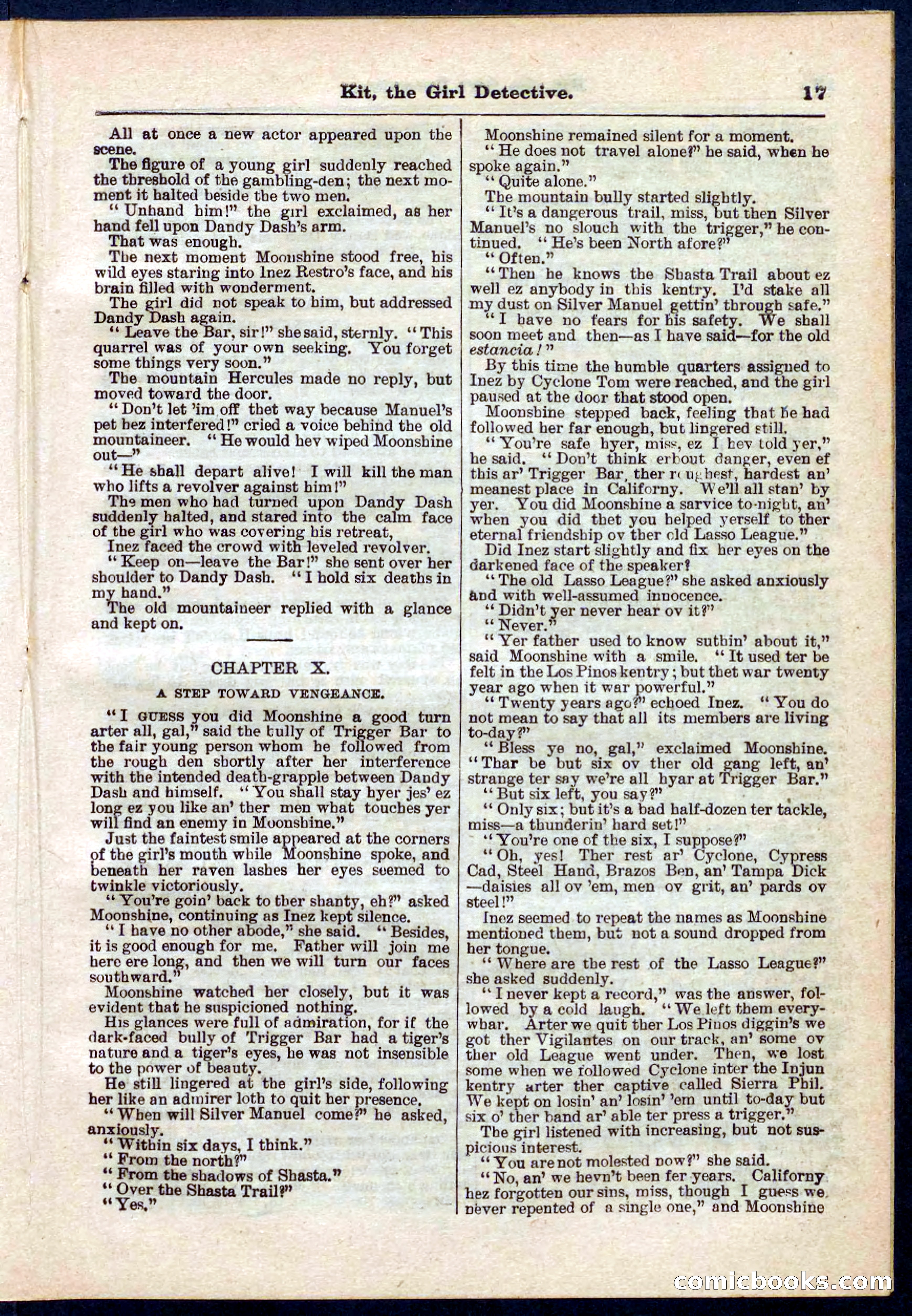 Beadle's Pocket Library No. 272 — page 17 of 32