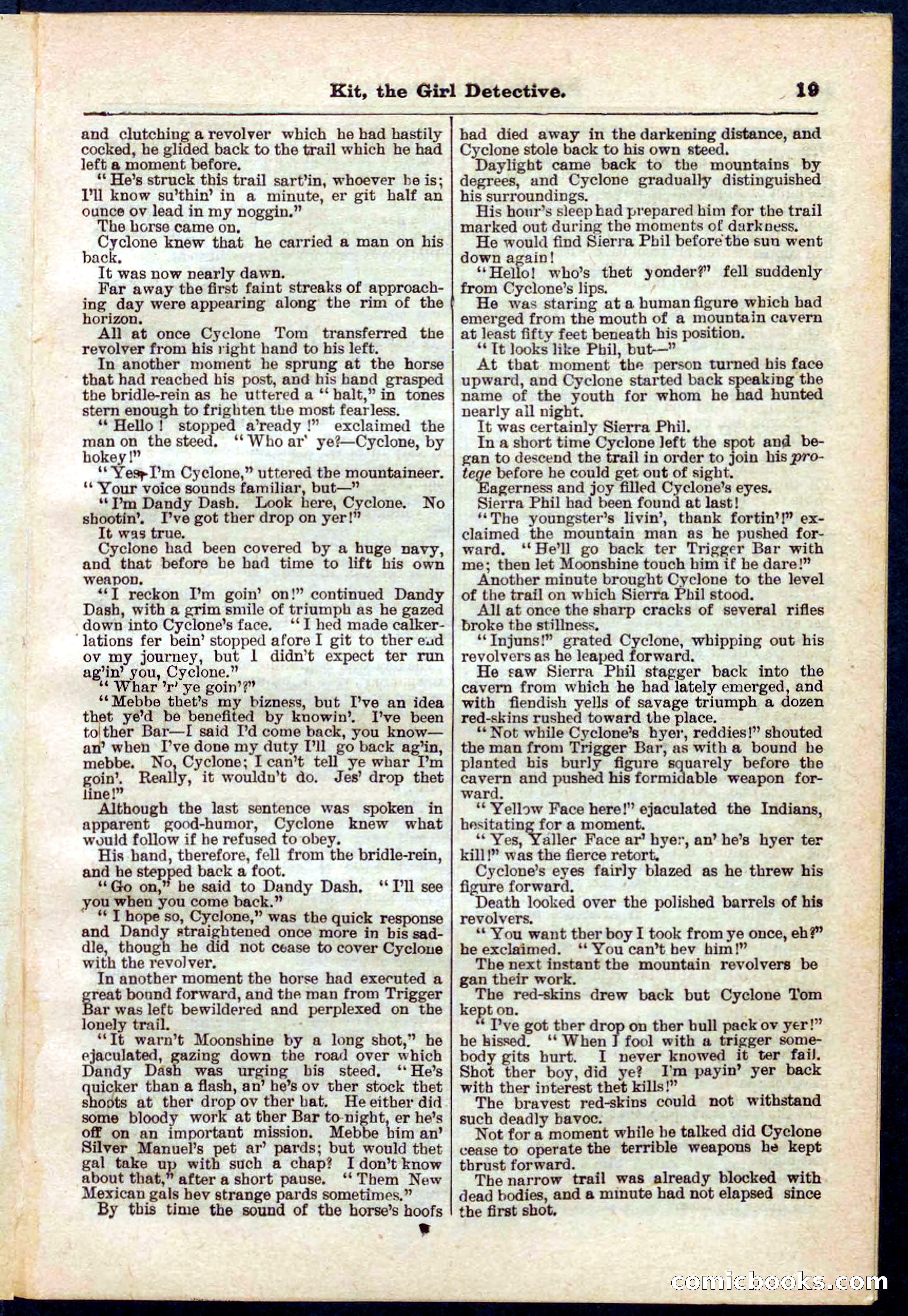 Beadle's Pocket Library No. 272 — page 19 of 32