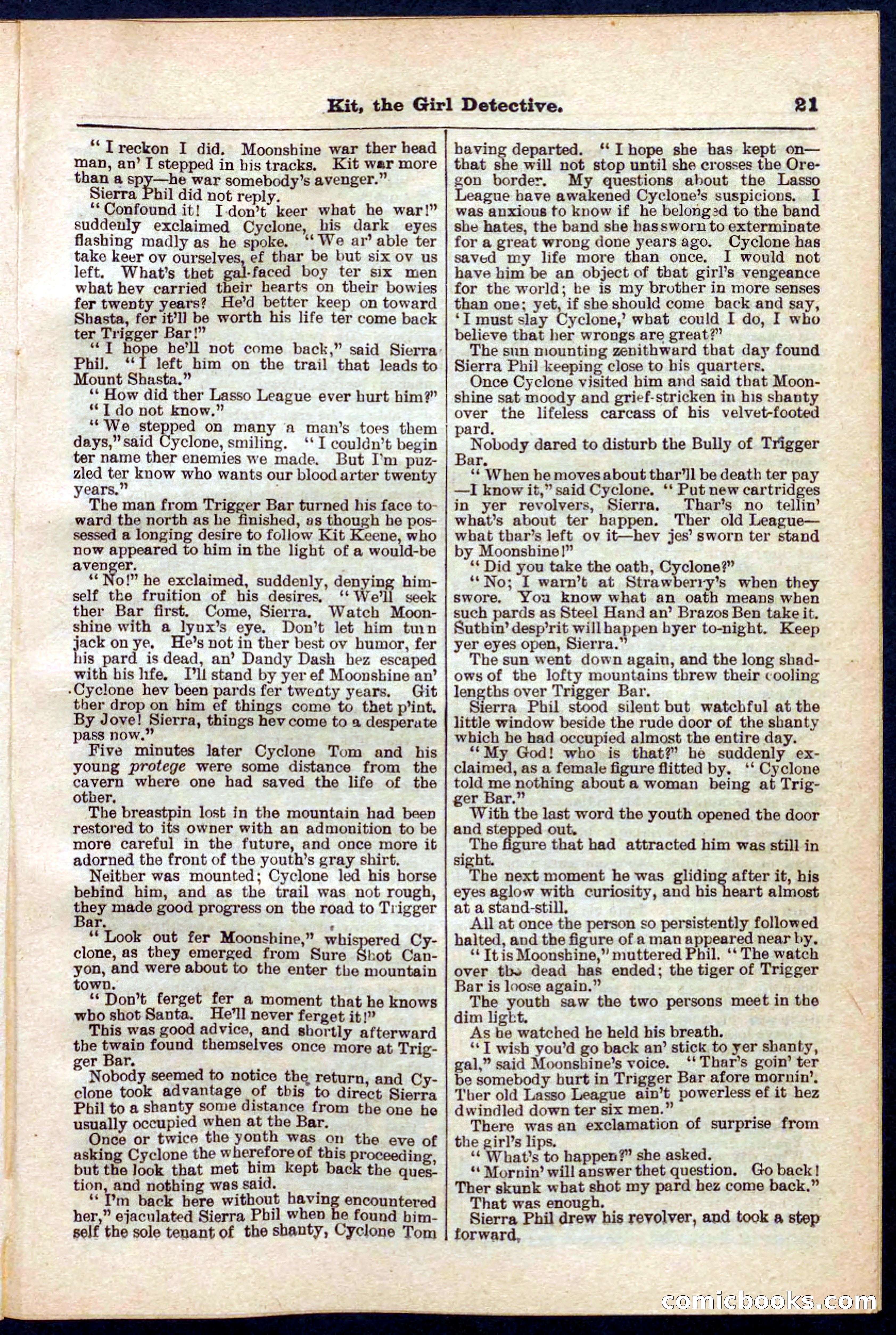 Beadle's Pocket Library No. 272 — page 21 of 32