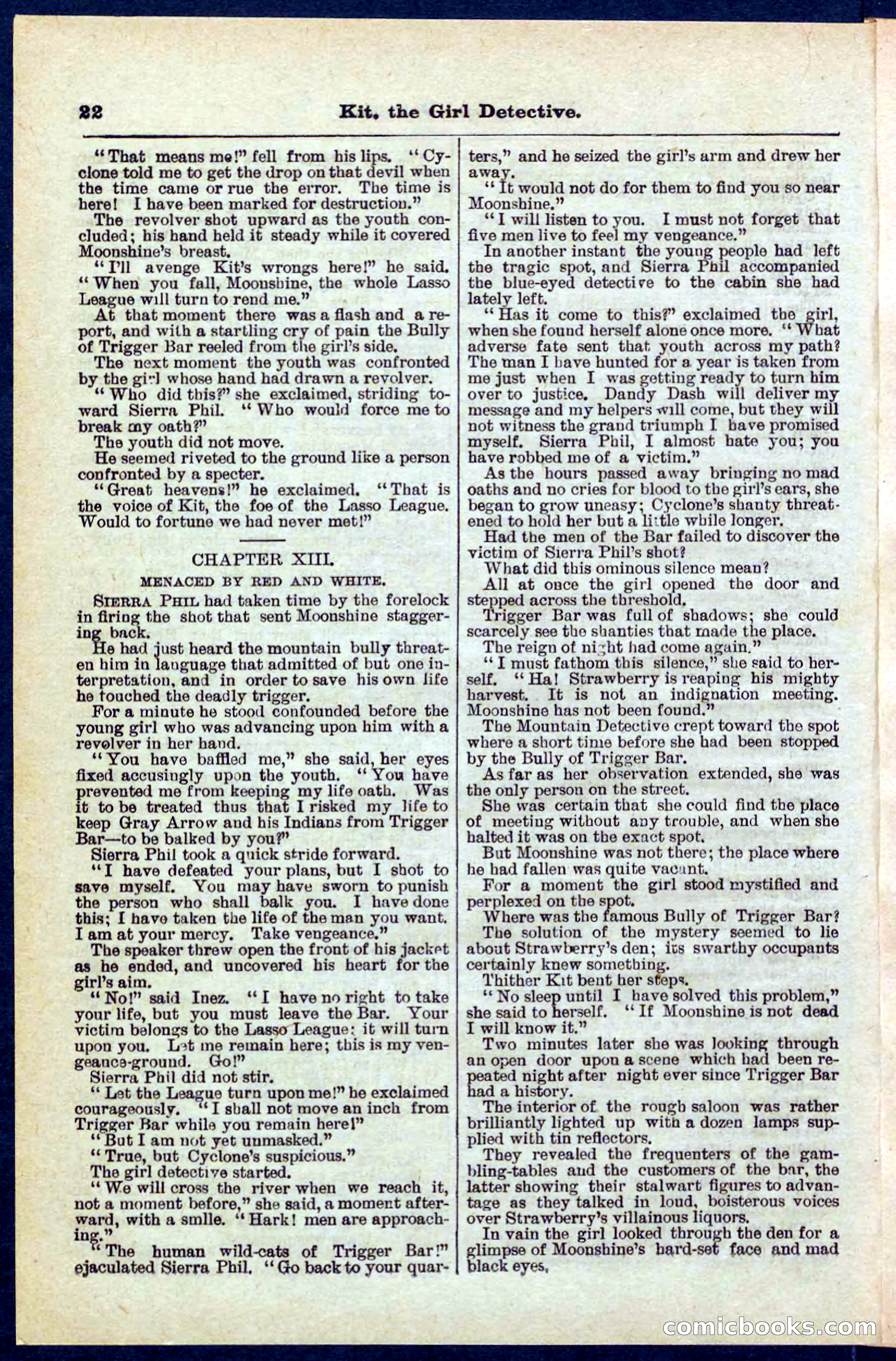 Beadle's Pocket Library No. 272 — page 22 of 32