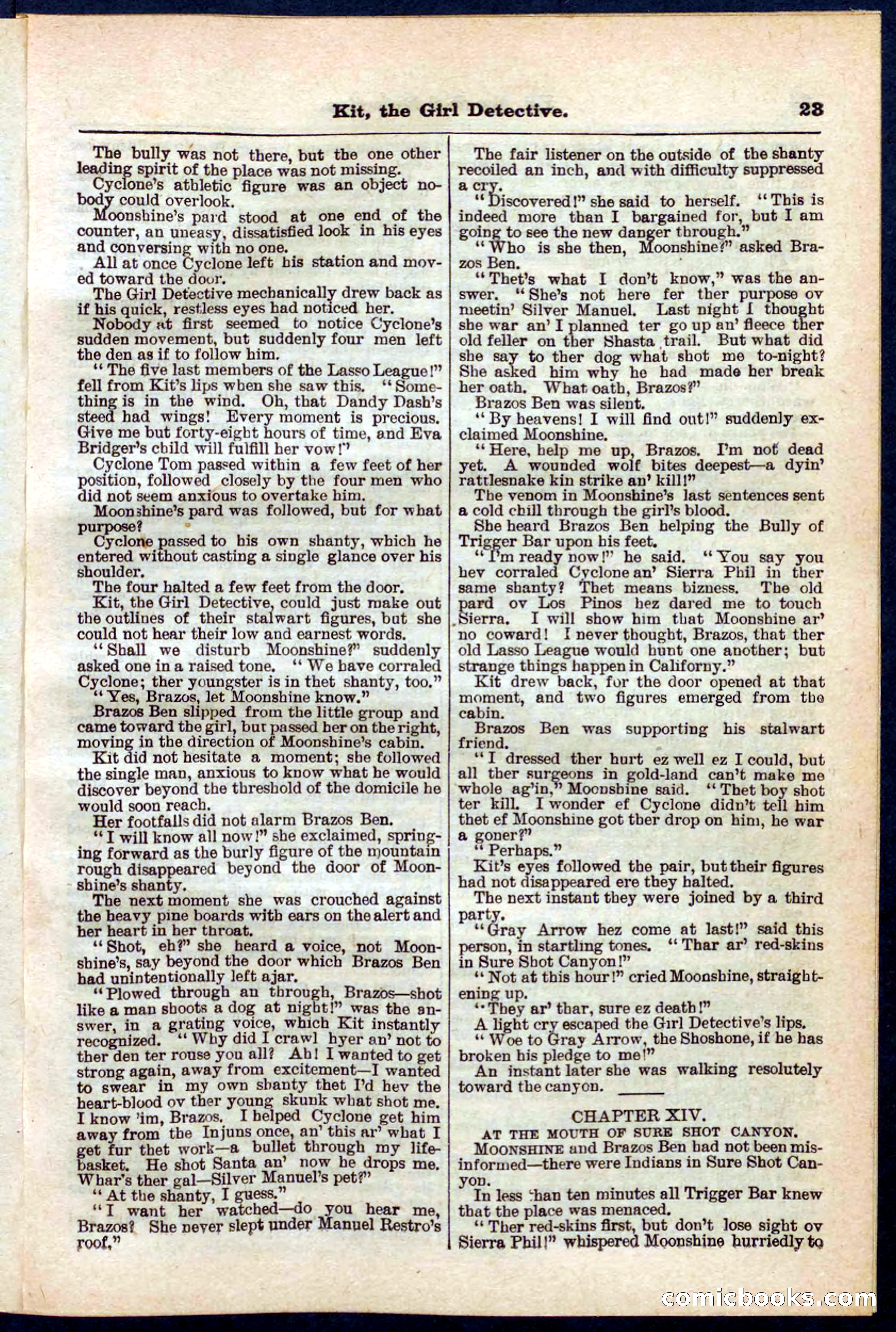 Beadle's Pocket Library No. 272 — page 23 of 32